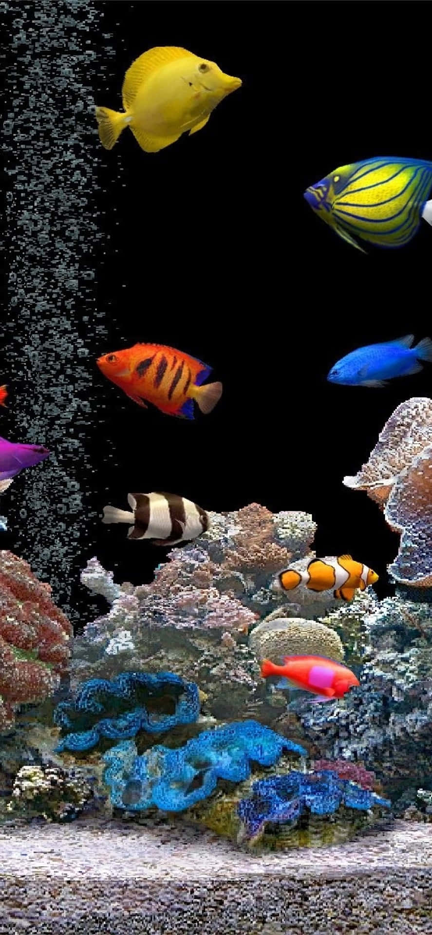 黑暗水族箱中色彩繽紛的熱帶魚和珊瑚，伴隨著上升的氣泡。