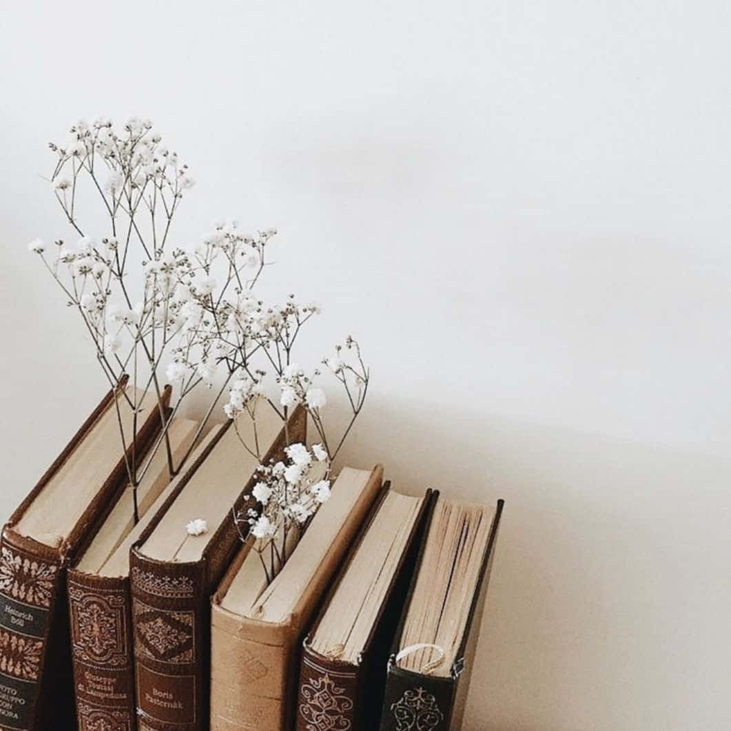 一堆舊書，乾燥的白色花朵從書脊中長出。 — 淺棕色美學 壁紙