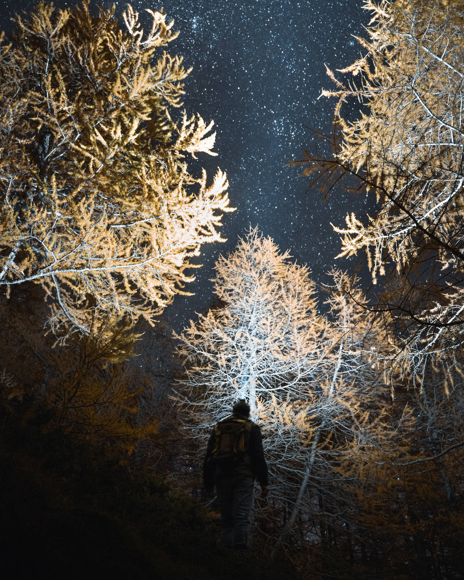 在星空下雪地森林中站立的人