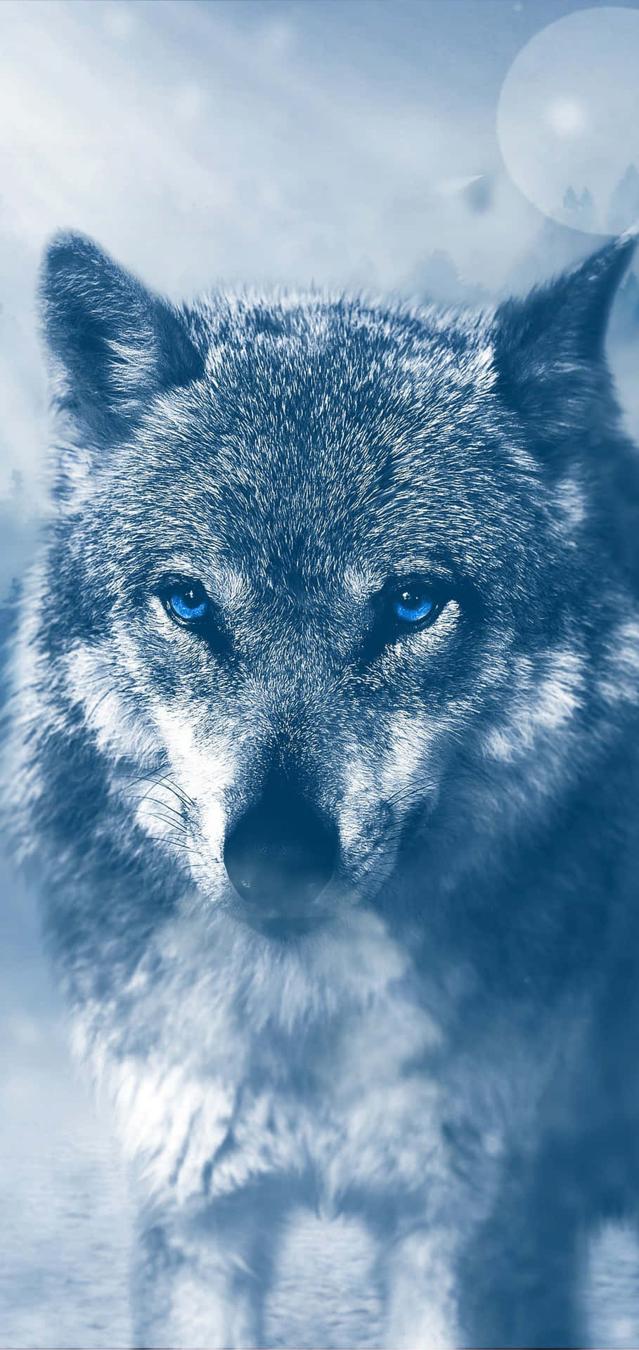 月光下雪地中的藍眼狼。