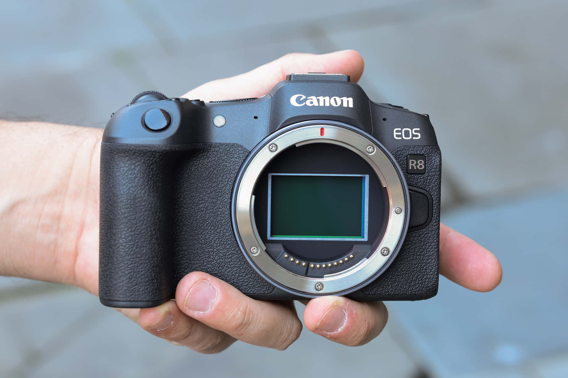 手拿著黑色Canon EOS R8相機，感應器外露。