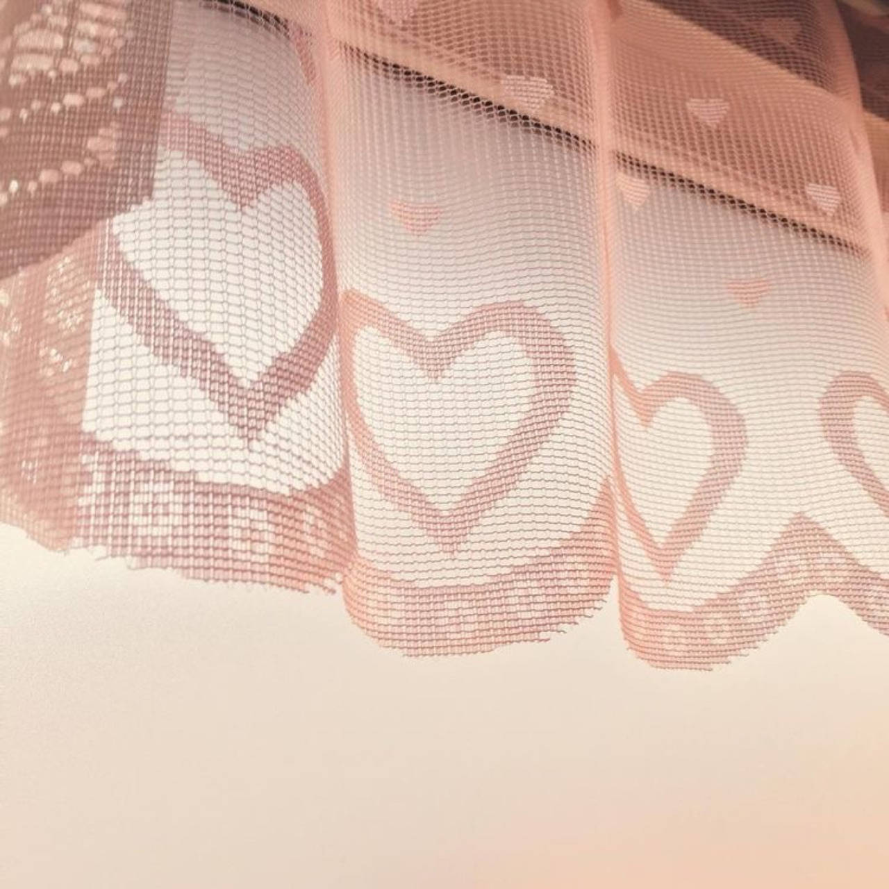 以白藍為主調，點綴綠意的法式雅致客廳 壁紙 — 柔軟的粉紅色蕾絲窗簾，帶有心形圖案，在溫暖的環境光中輕輕垂掛。