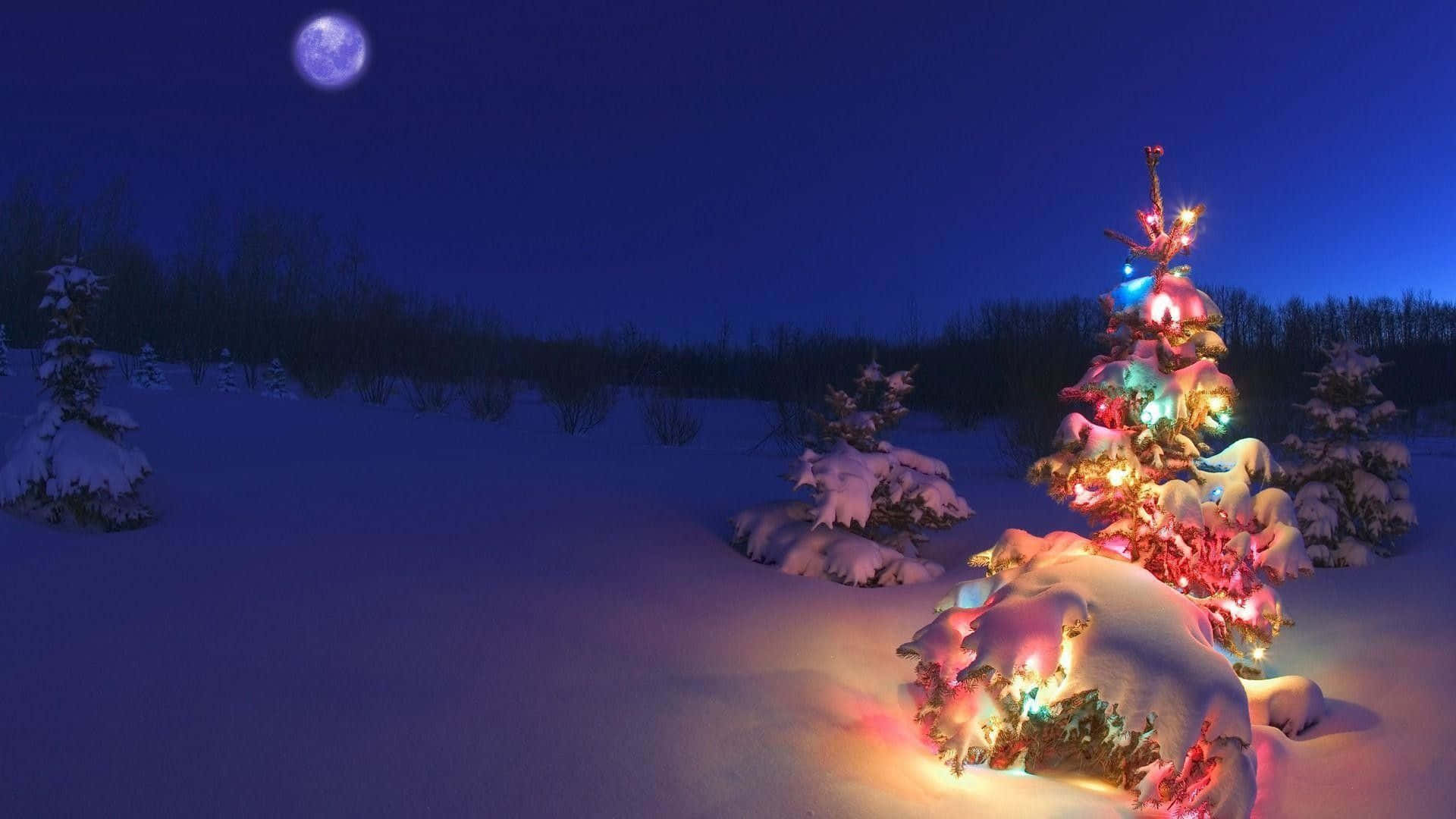 以科技慶祝節日 壁紙 — 一棵白雪覆蓋的常青樹在寂靜的冬日森林中，在滿月下閃爍著五彩繽紛的燈光。