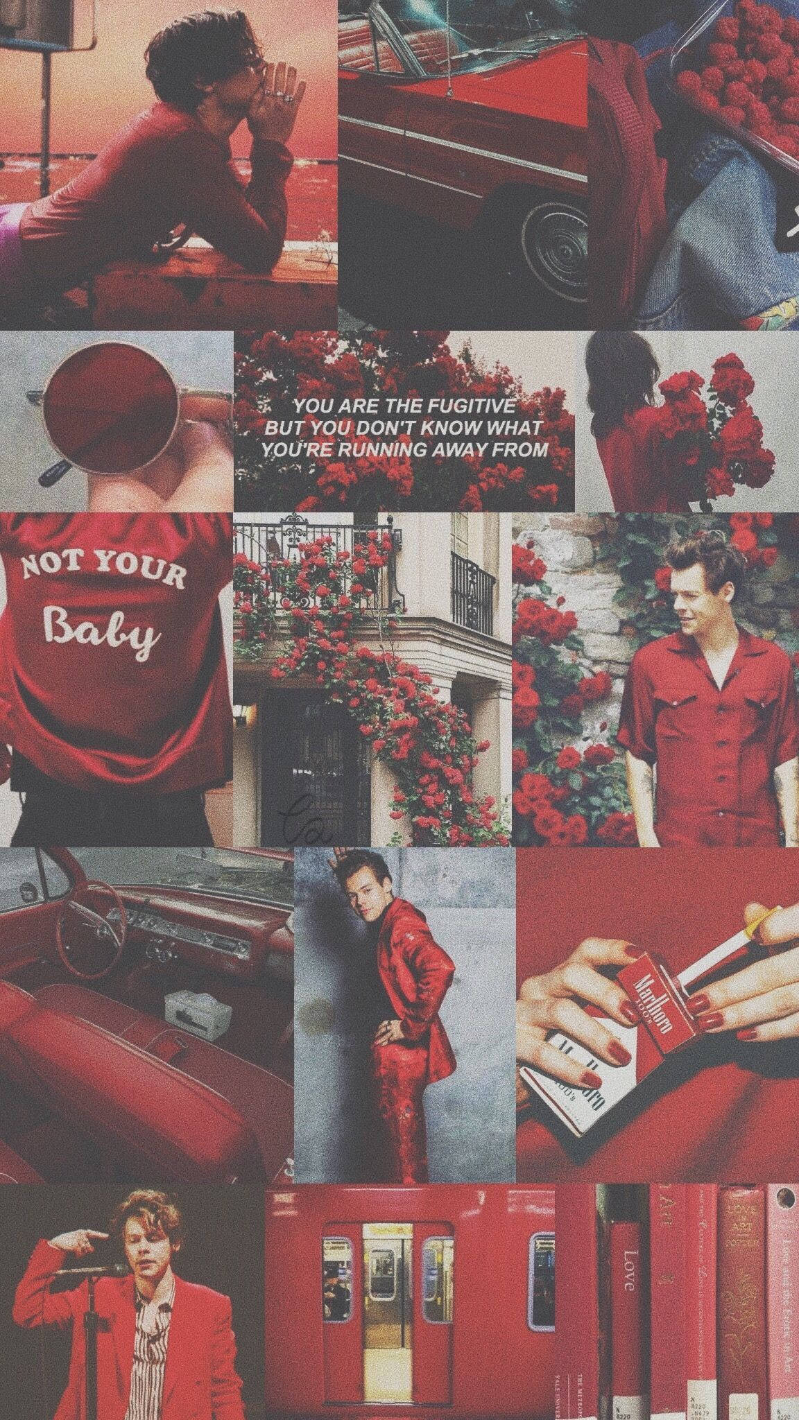 哈里·斯泰爾斯 桌布 壁紙 — 以紅色為主題的拼貼畫，展示哈利·史泰爾斯以各種姿勢與復古汽車、玫瑰和書籍，營造出憂鬱浪漫的美感。