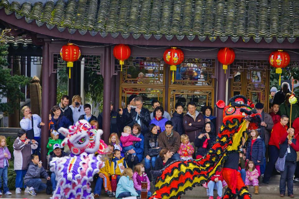 以絢麗燈籠、煙花與傳統裝飾慶祝中國新年 壁紙 — 色彩繽紛的舞獅表演者在傳統紅色燈籠下，為多元化的觀眾帶來歡樂的節日文化活動。