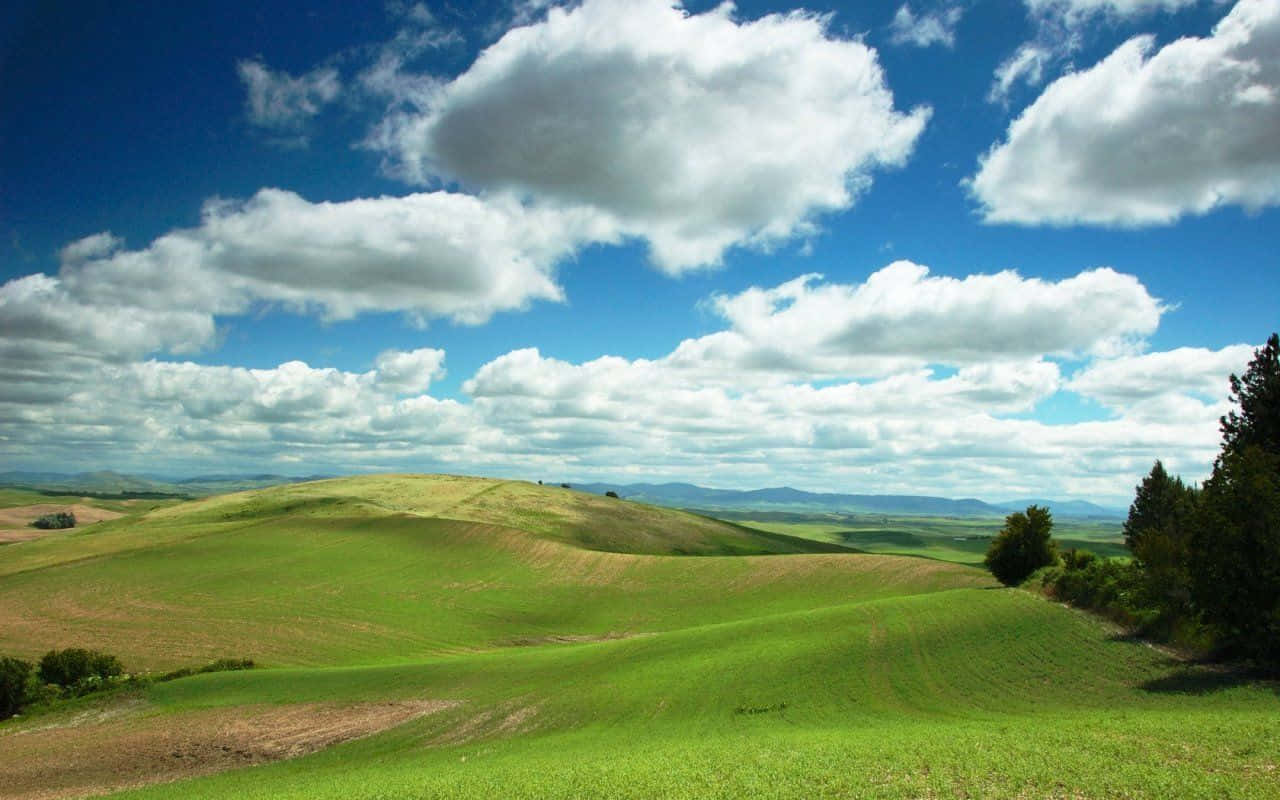 以經典 Windows XP 桌面背景重現懷舊風 壁紙 — 廣闊起伏的綠色山丘在點綴著蓬鬆白雲的明亮藍天下延伸。