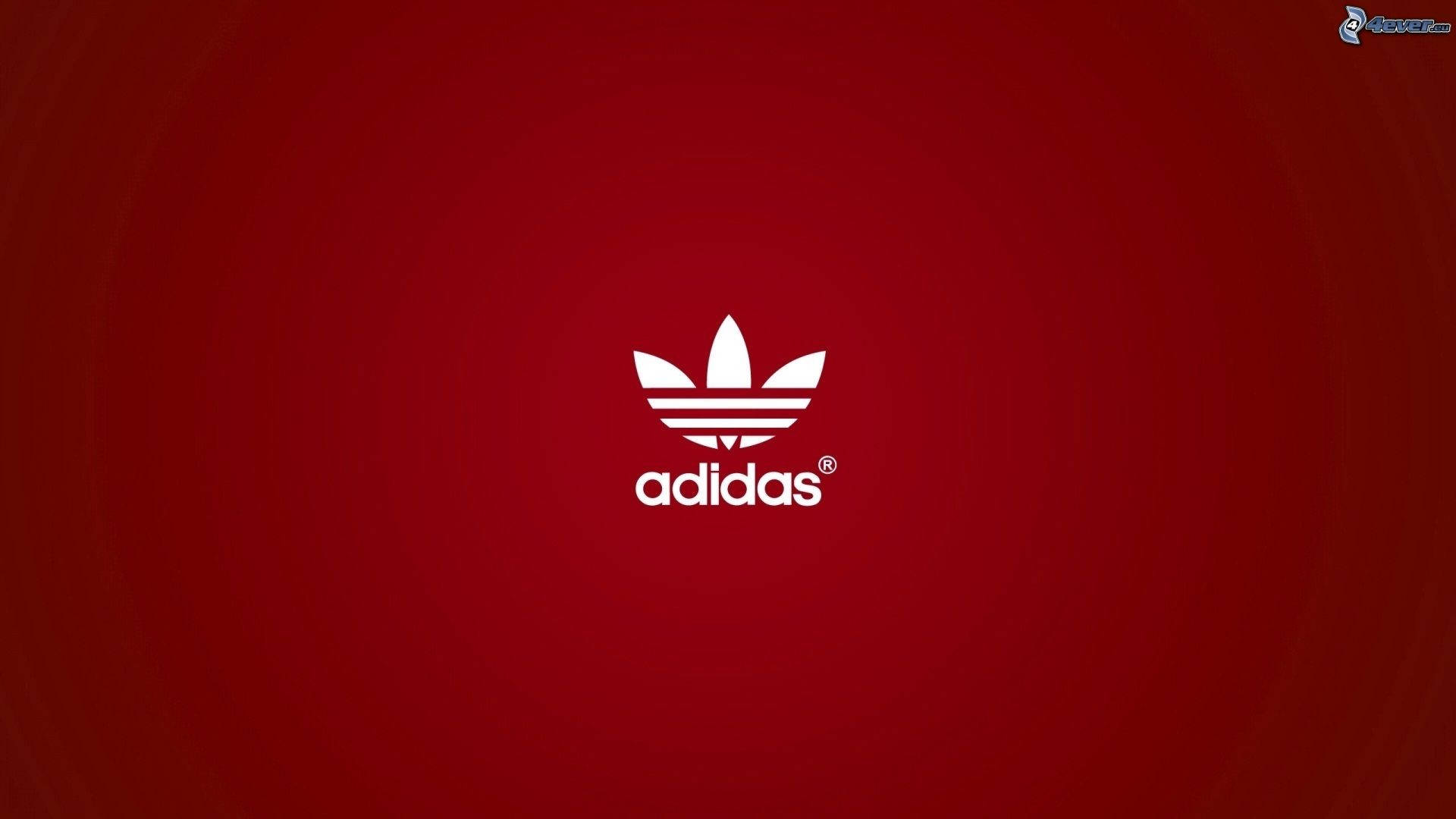 白色adidas標誌在紅色漸變背景上