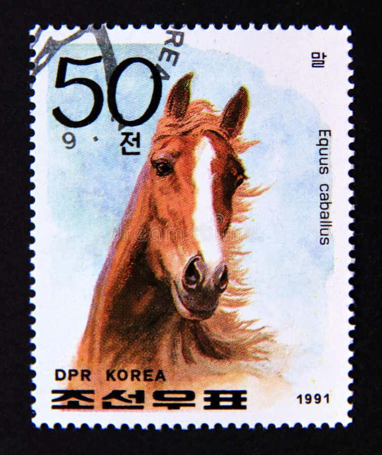 以美國國旗郵票展現你的自豪 壁紙 — 一枚1991年北韓50韓元郵票，以淺藍色背景為襯，細緻描繪了一匹帶有白色星紋的棕色馬匹。