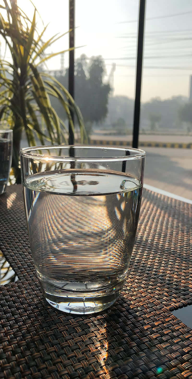 一杯水放在編織墊上，有陽光和背景中的植物。