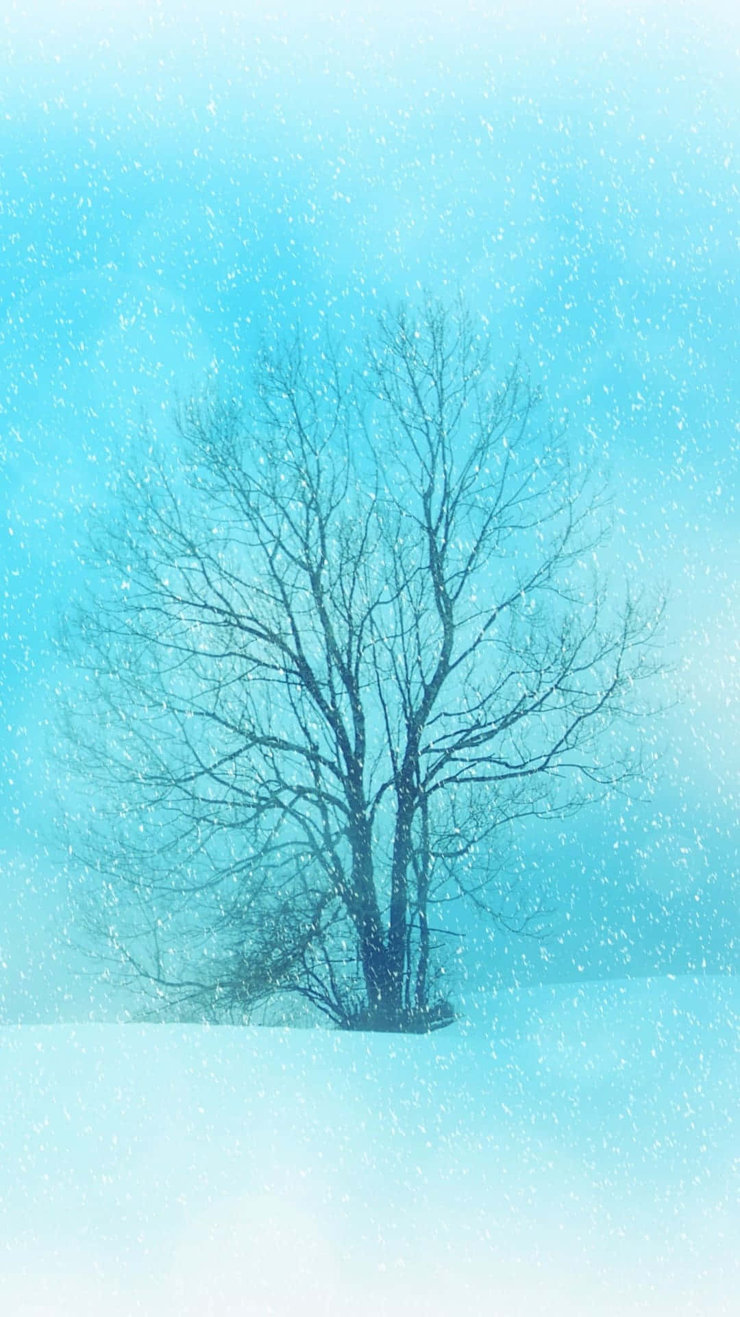 雪中孤樹，雪花飄落，襯以藍天。