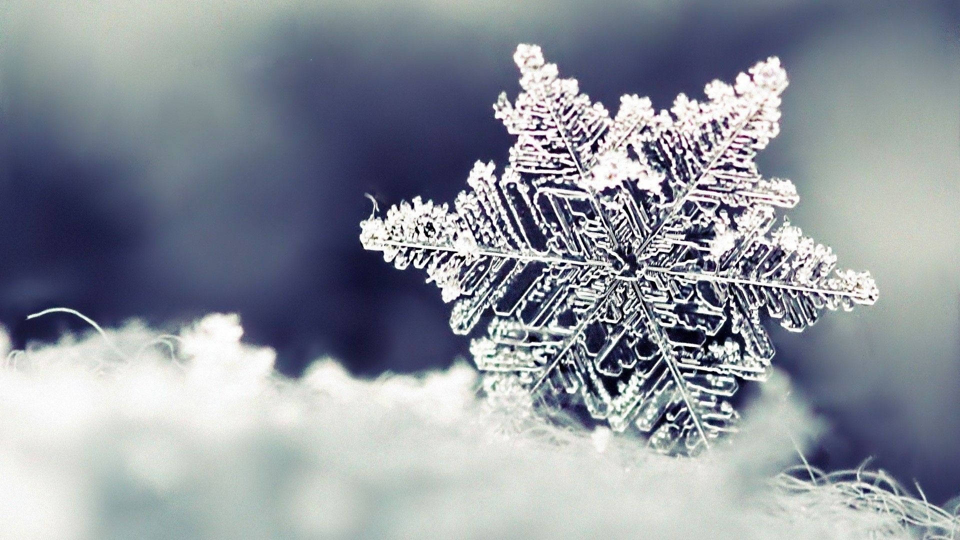 特寫雪花細節，雪地表面，藍色背景。