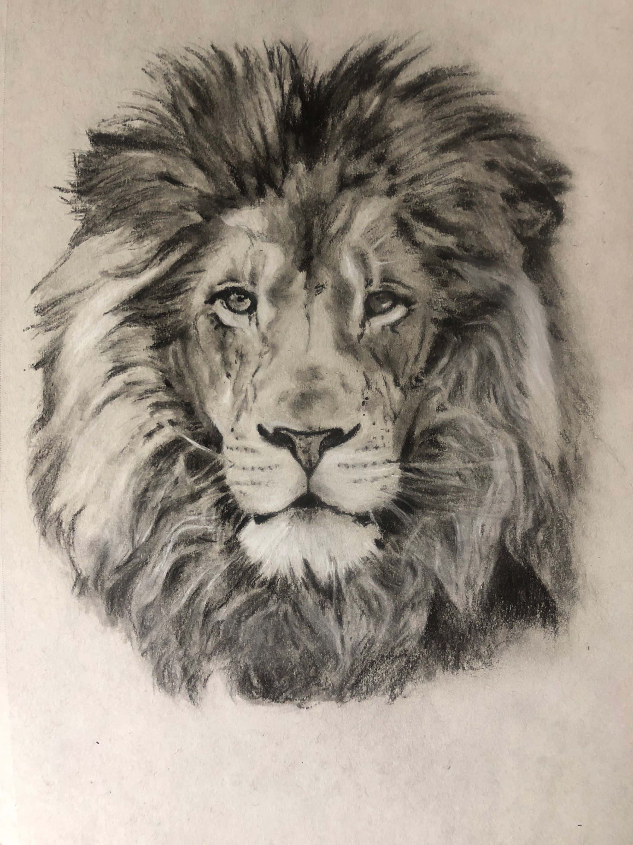 以自豪之姿凝視 壁紙 — 一幅詳細的木炭素描，描繪一頭雄獅威嚴的面容，帶有銳利的眼神和濃密的鬃毛。