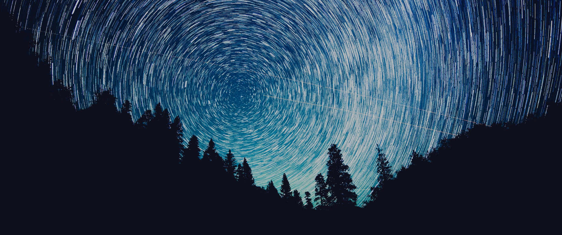 星軌在夜間黑暗森林上方旋轉。