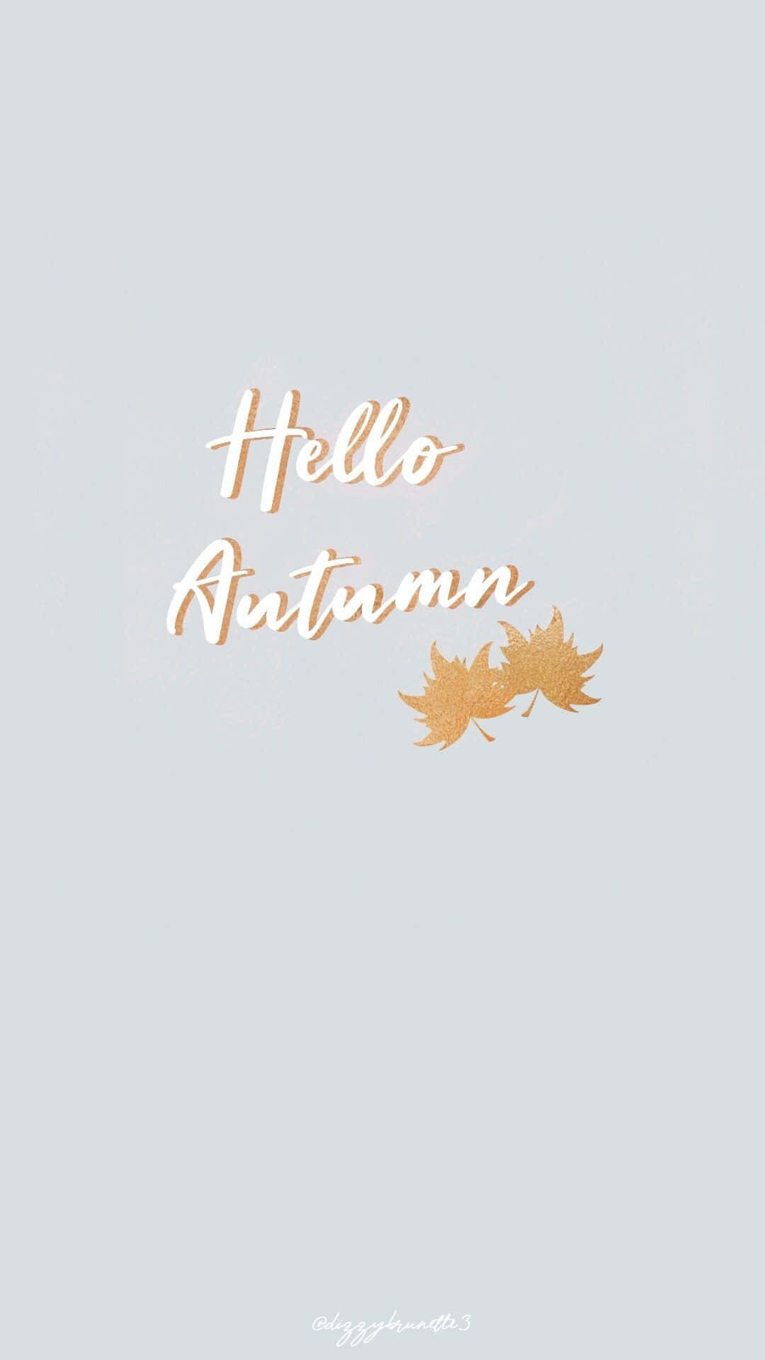 灰色背景上的Hello Autumn文字與金色葉子