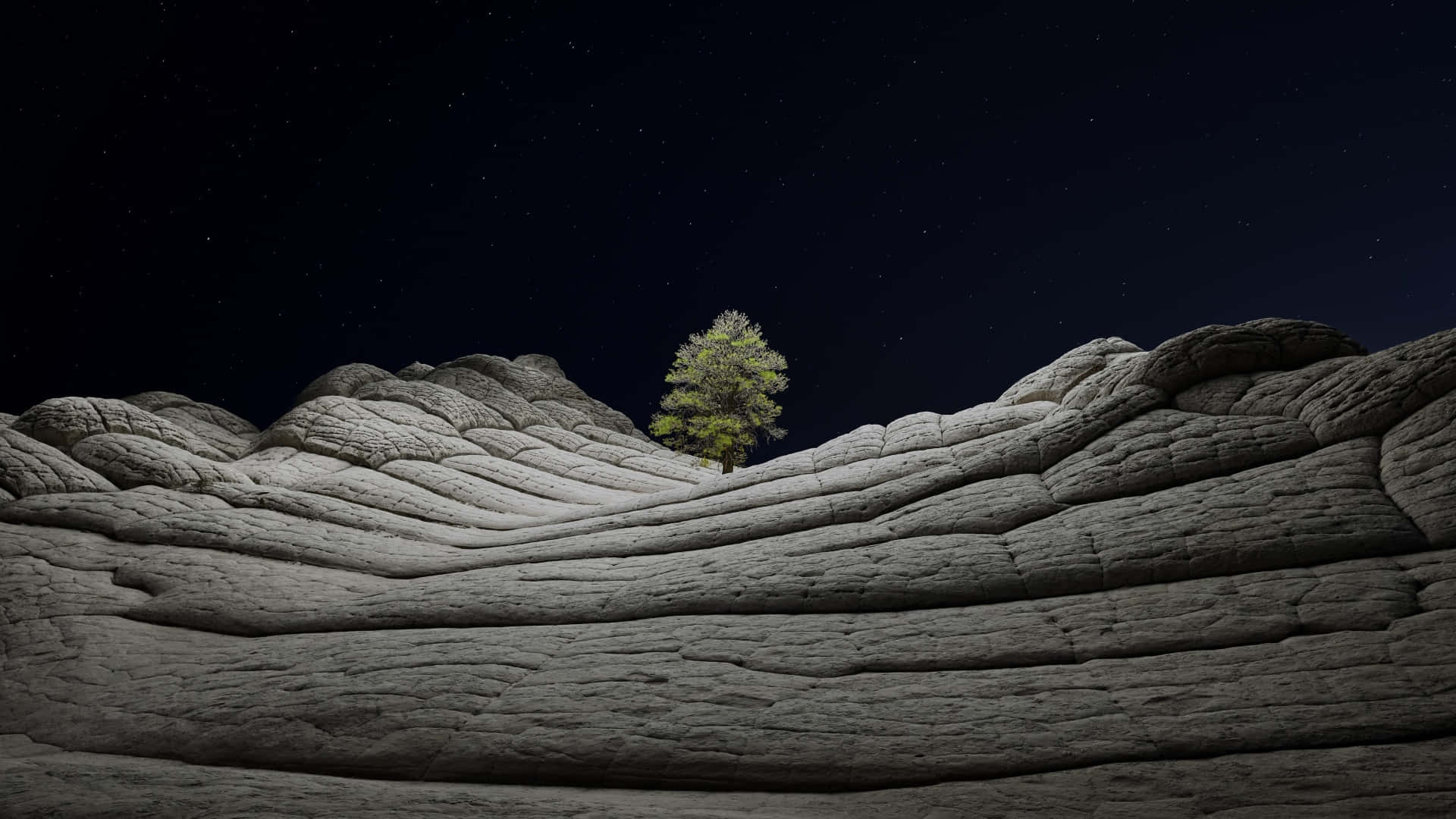 星空下岩石地形上的一棵孤樹。