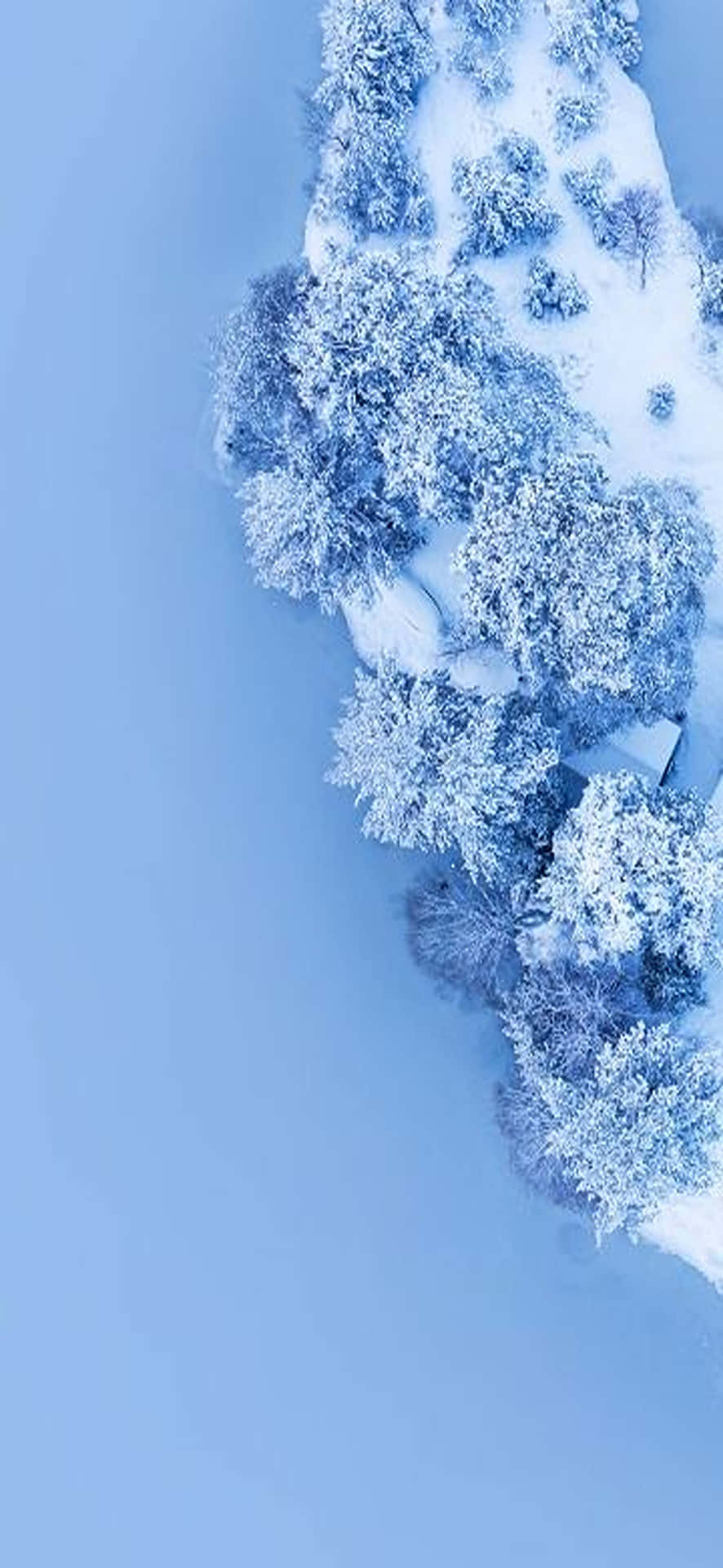 從上方俯瞰，雪林中的小屋，寧靜的冬日景象。