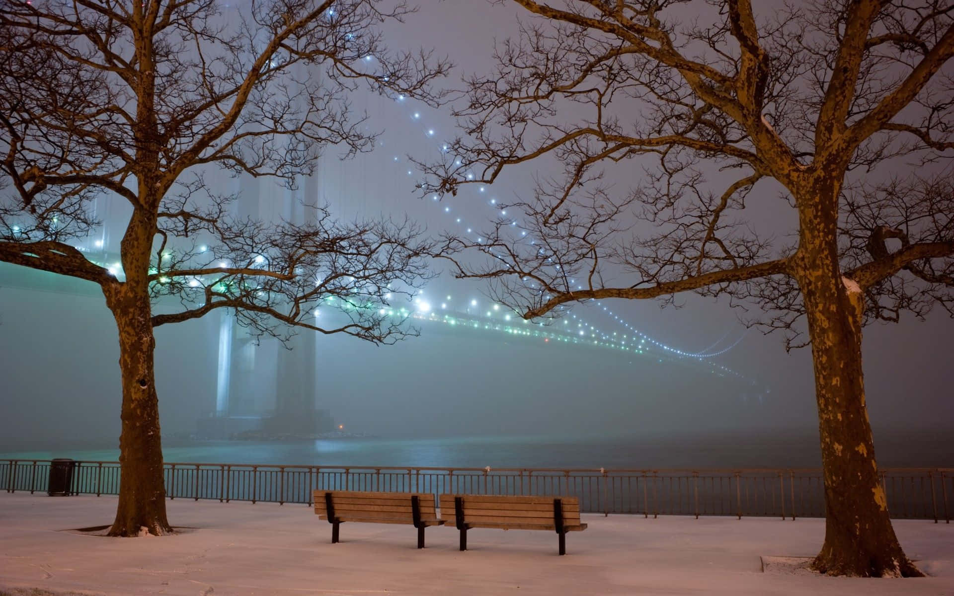 夜間，光禿禿的樹木下積雪的公園長椅，透過霧氣可見一座亮燈的橋樑。