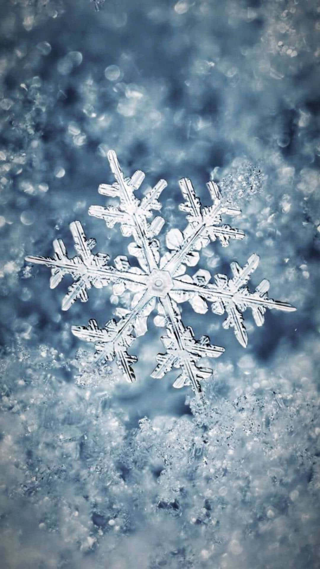 雪地上細節清晰的雪花，背景模糊的藍色