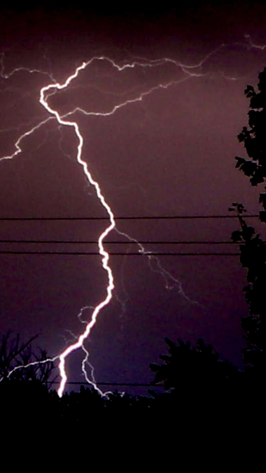 一道明亮的閃電照亮了暴風雨夜空，映襯出樹木和電線的剪影。