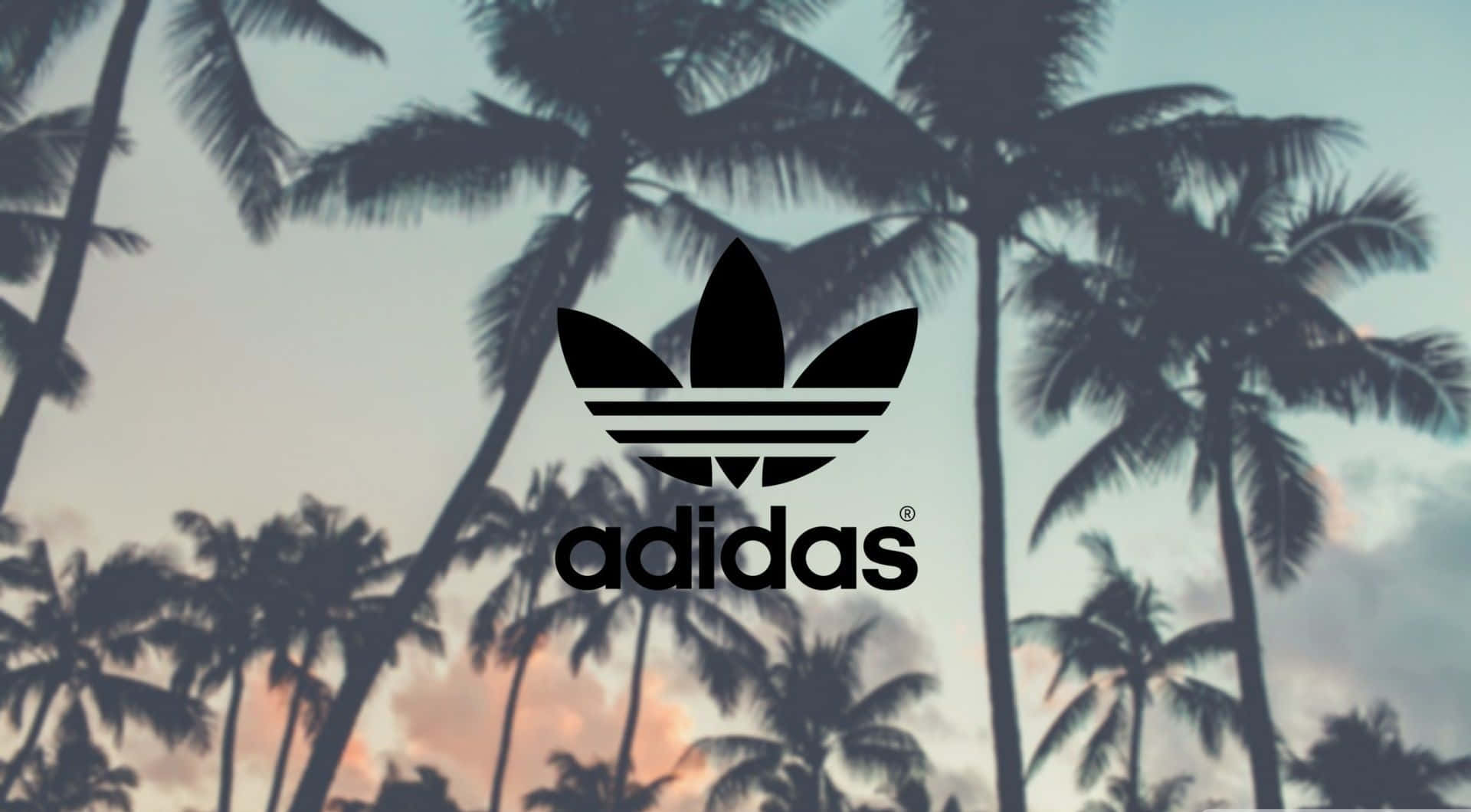 日落時棕櫚樹上的Adidas標誌