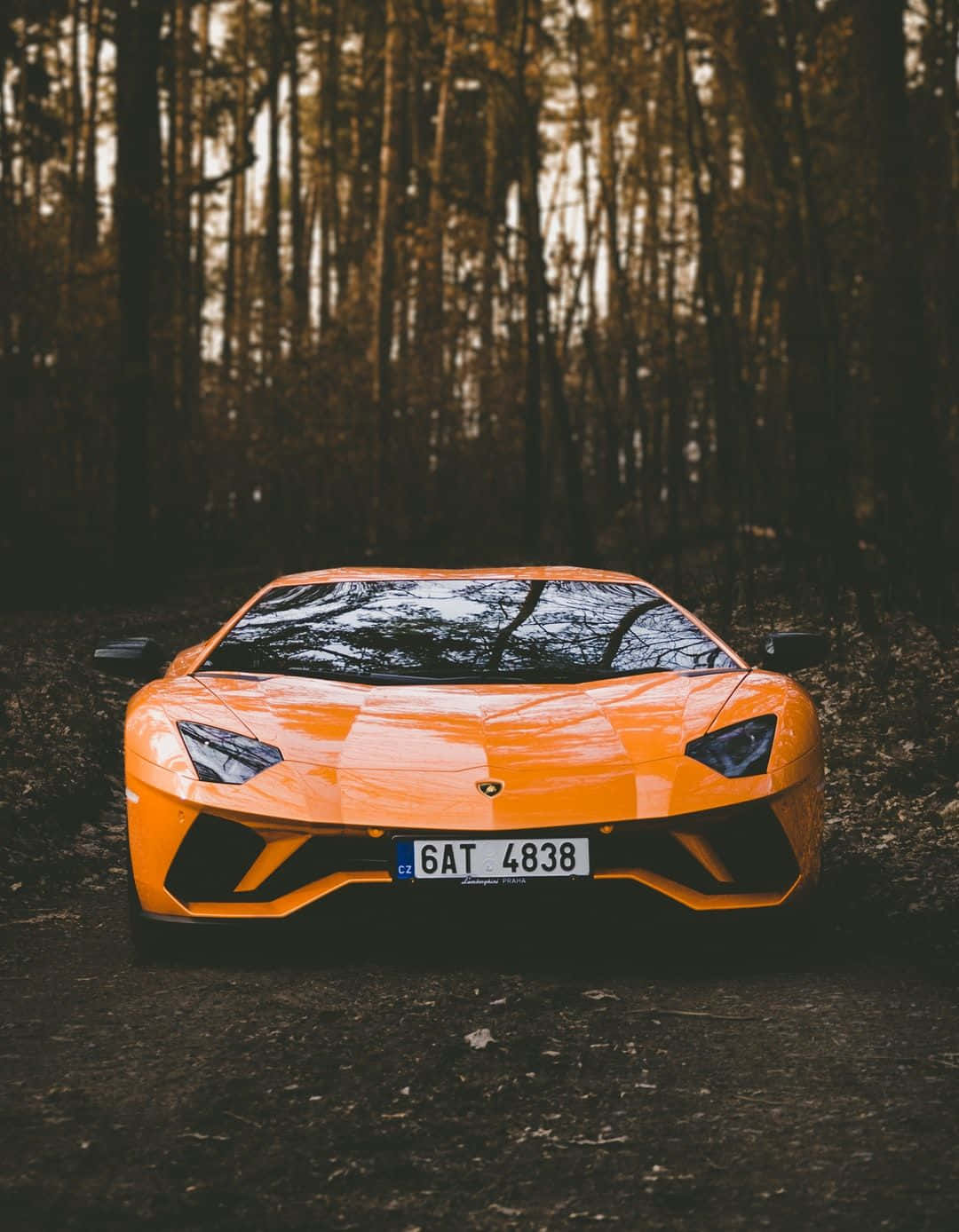 日落時分，一輛橙色林寶堅尼 Aventador 停泊在森林中。