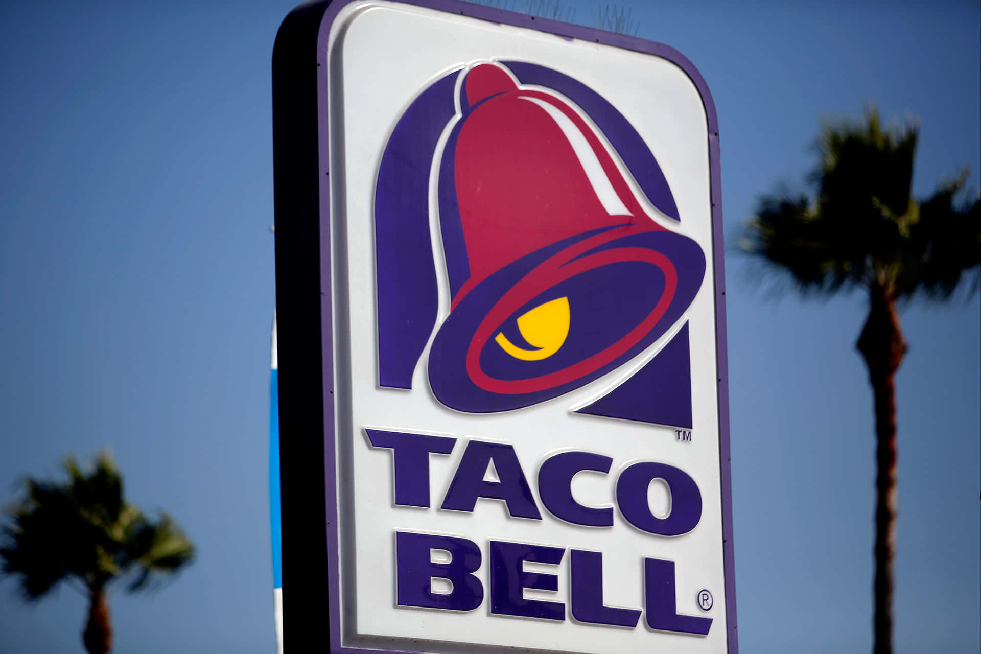 Taco Bell 餐廳標誌，背景有棕櫚樹和晴朗藍天。