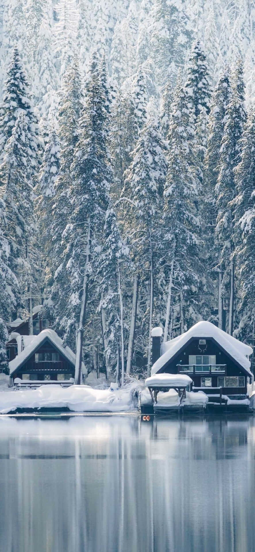 雪中小屋和松樹倒映在平靜的冬日湖面上。