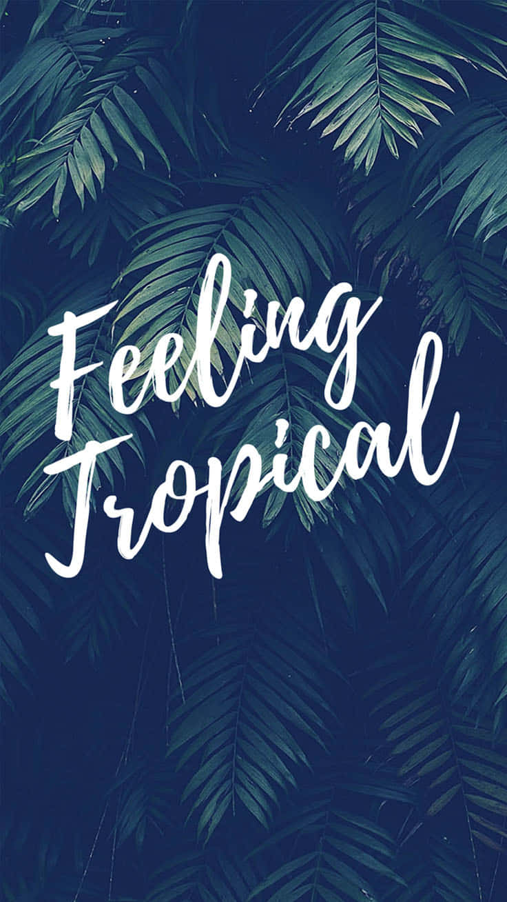 熱帶棕櫚葉，白色文字寫著 Feeling Tropical，海軍藍背景。