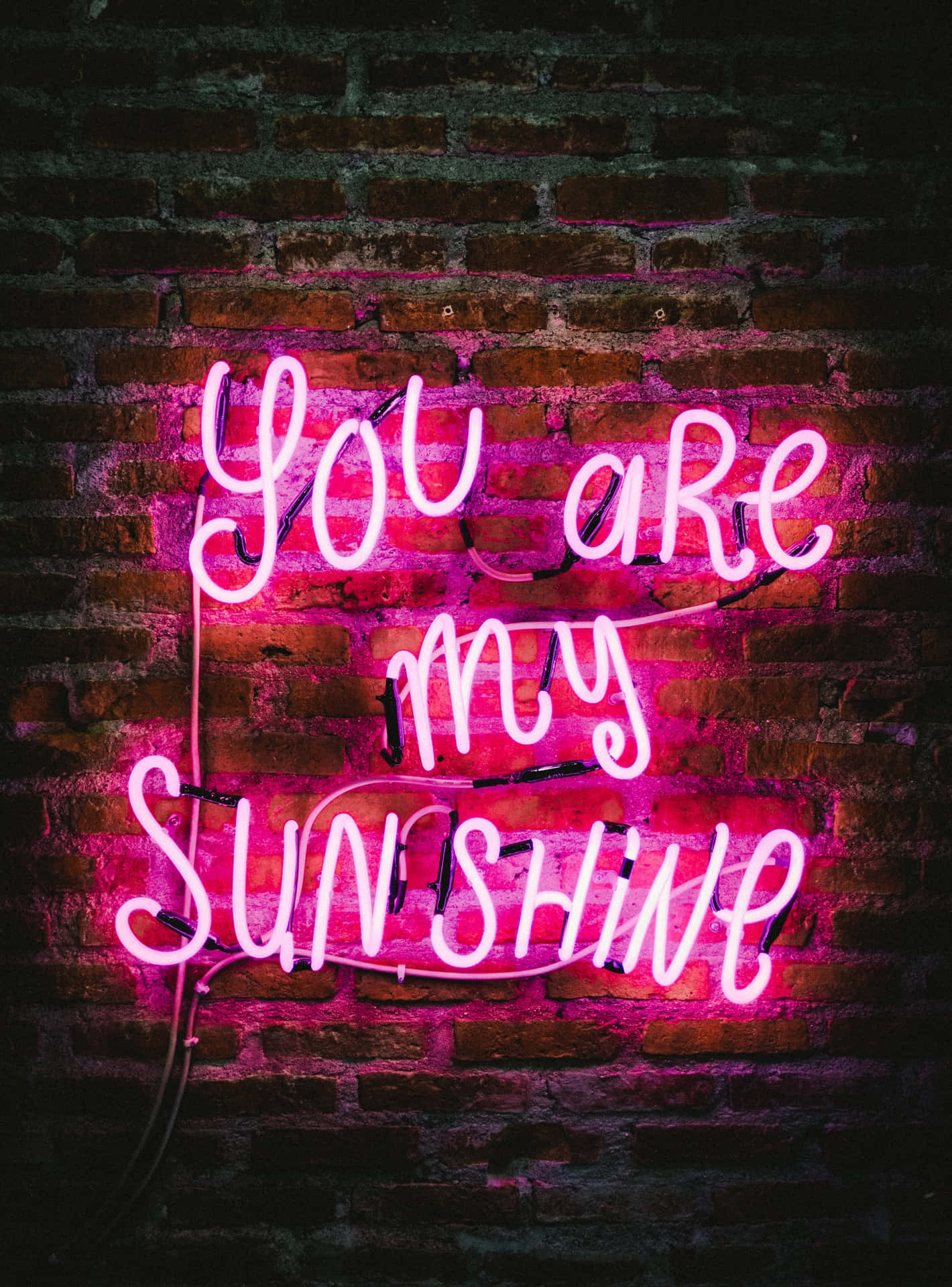 磚牆上一個粉紅色霓虹燈牌，寫着「You are my Sunshine」。