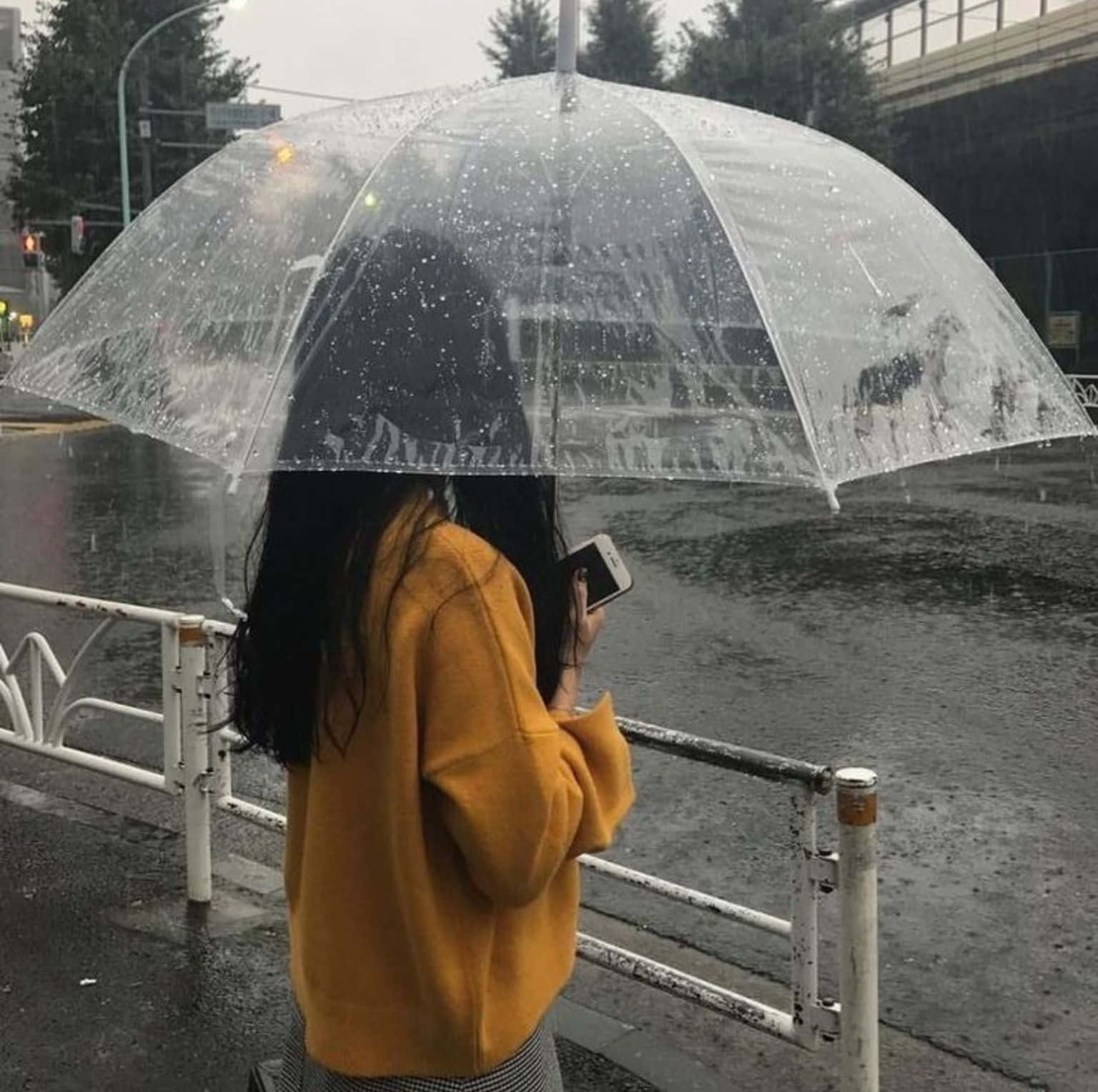 穿著黃色毛衣的人在雨中的城市街道上撐著透明雨傘。