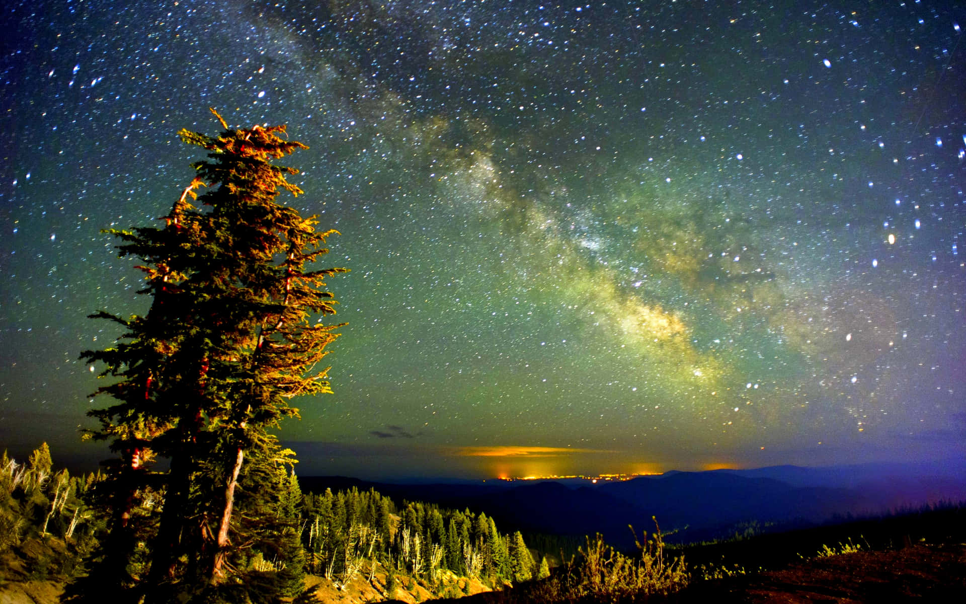 一棵高大的松樹矗立在繁星點點的夜空下，銀河在遠山上方清晰可見。