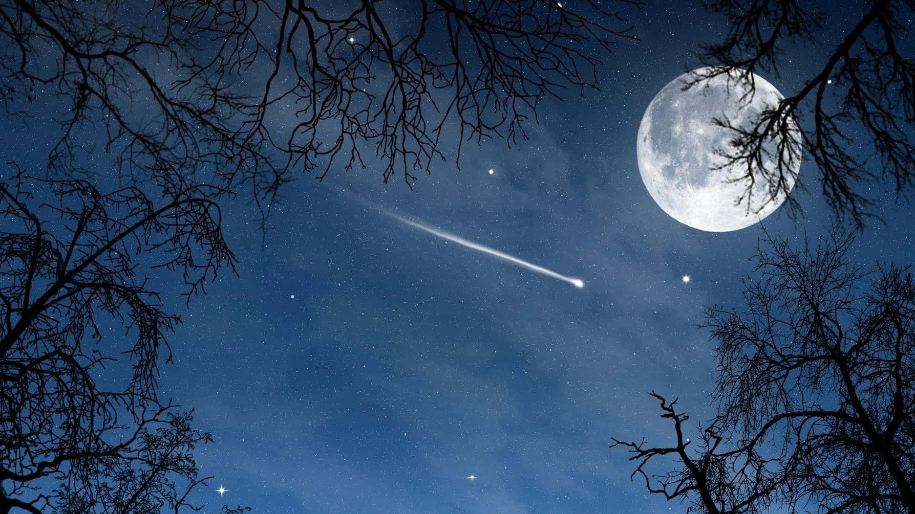 夜晚透過光禿樹枝可見月亮和流星。