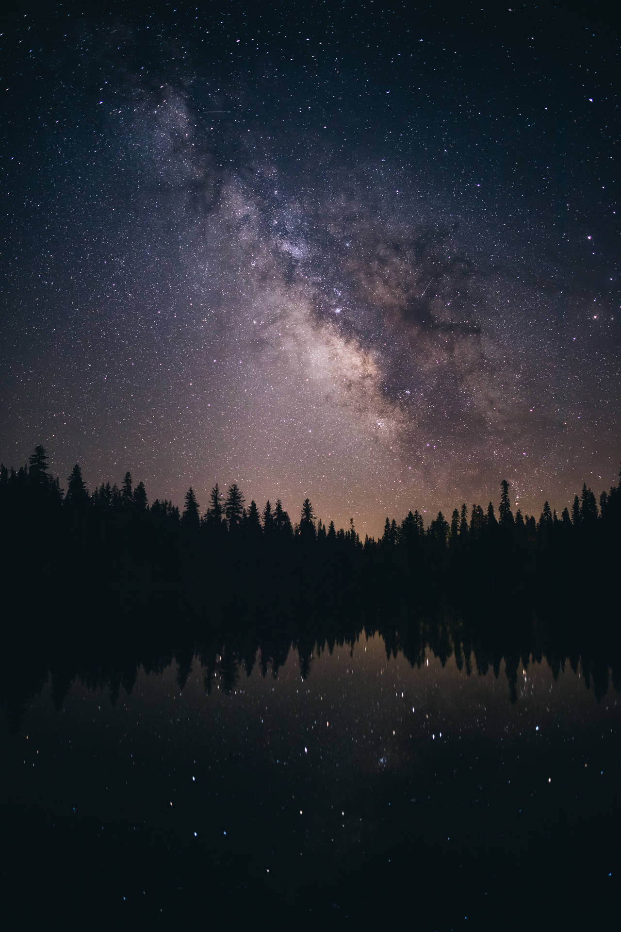 夜晚，銀河系倒映在平靜的湖中，周圍環繞著松樹。