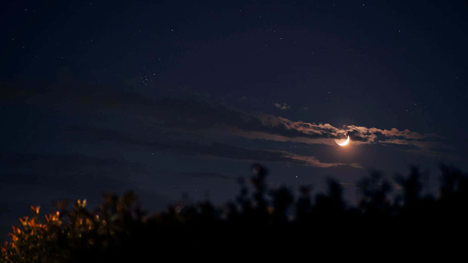 月牙在雲層後發光，夜晚懸於剪影樹木之上。
