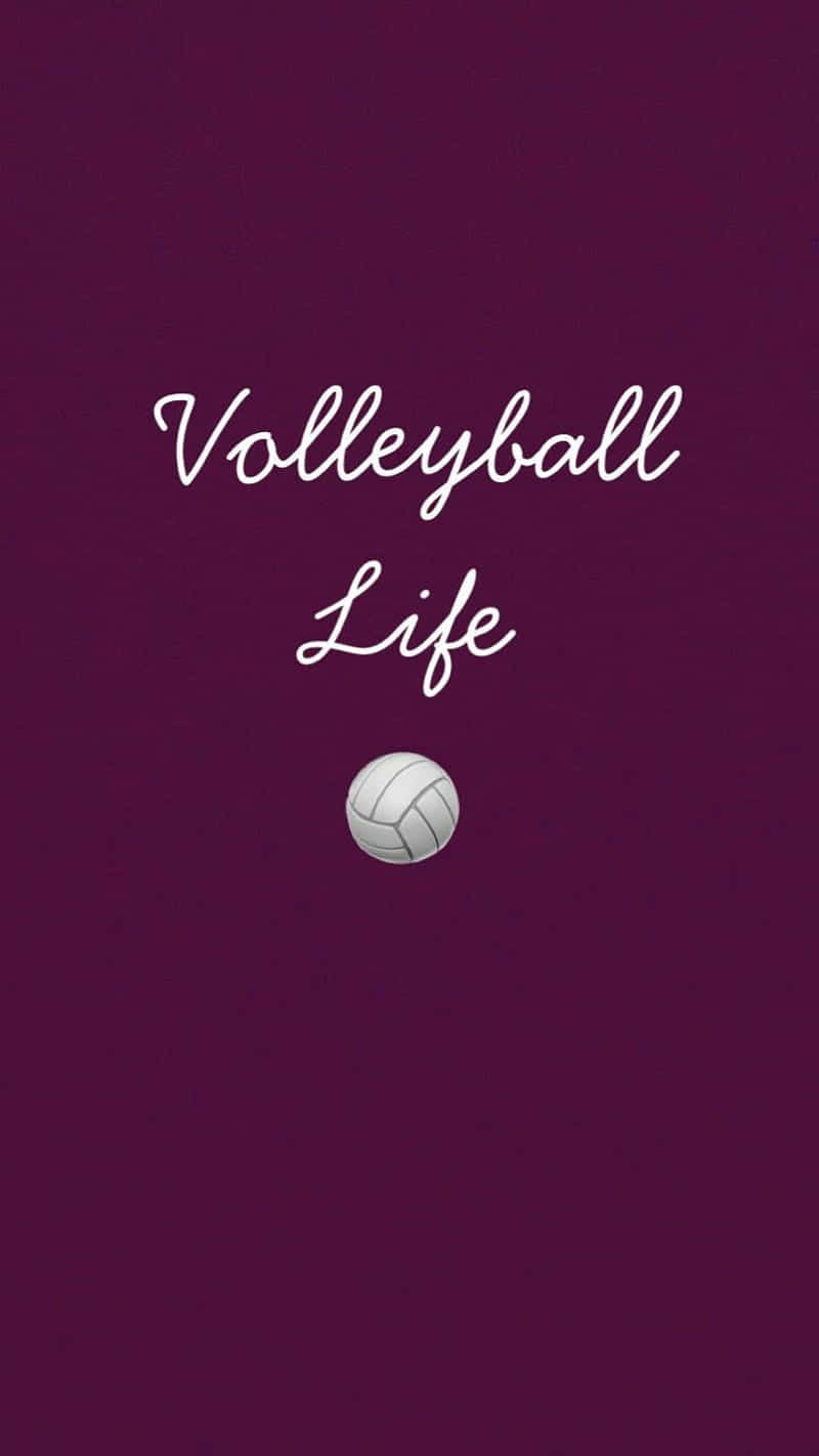 任何認真排球比賽的必備工具 壁紙 — 簡約紫色牆紙，中央下方有「Volleyball Life」文字和白色排球。