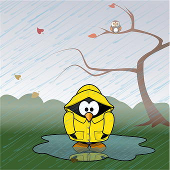 企鵝穿雨衣雨天
