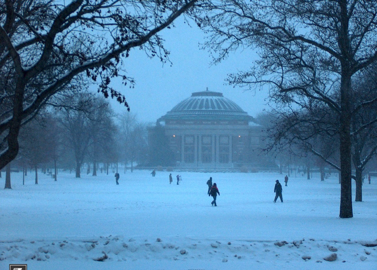 人們穿過白雪覆蓋的公園，走向由光禿樹木框住的圓頂建築。