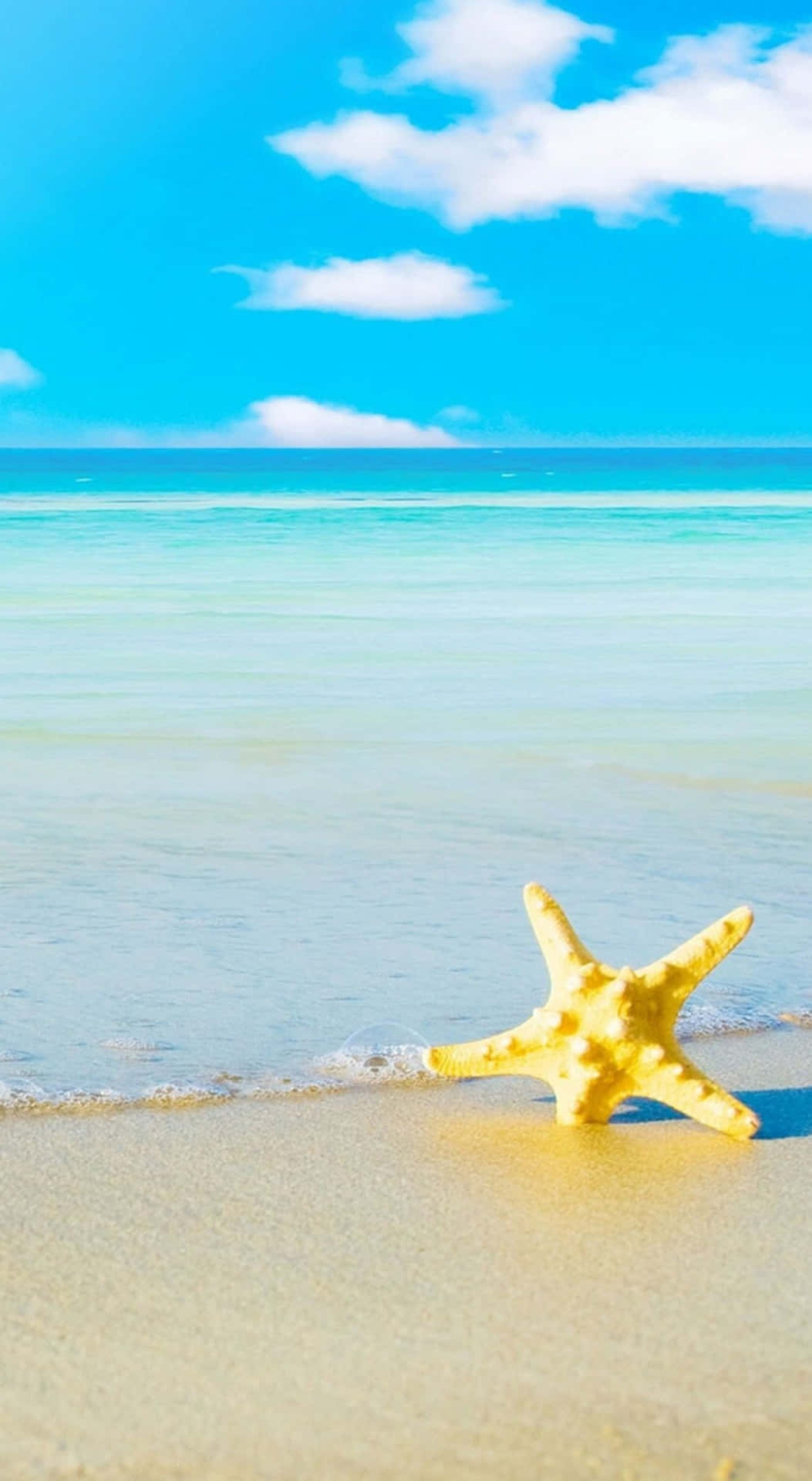 沙灘上的黃色海星與碧綠海洋和藍天