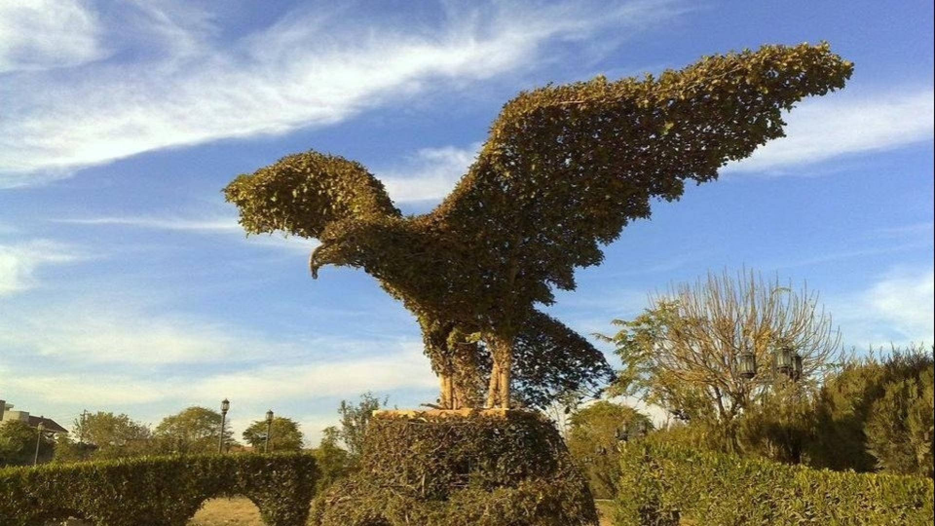 伊拉克米納雷公園的壯觀園藝鷹雕 壁紙 — 一座由茂密綠色樹籬製成的雄偉鷹形修剪雕塑，在帶有縷縷白雲的明亮藍天下傲然矗立。