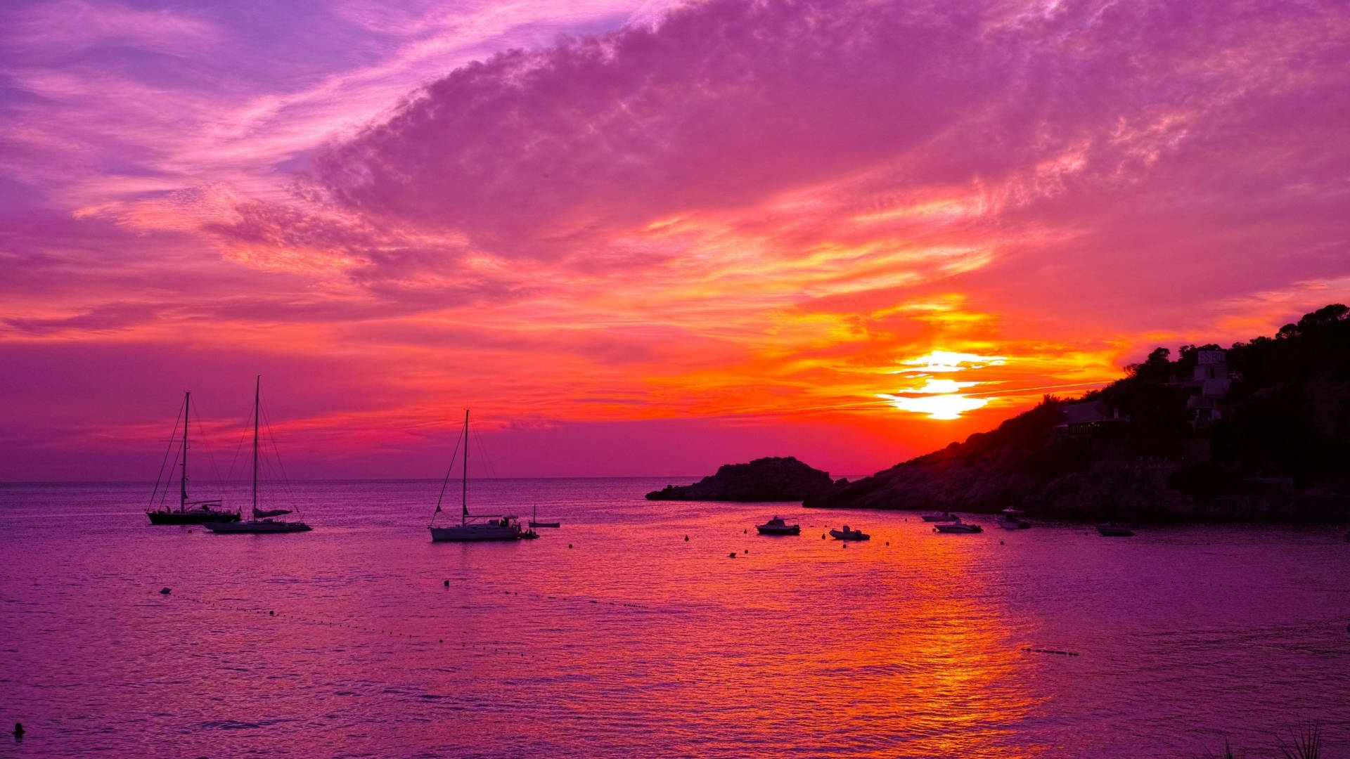 在鮮豔的粉紅色和橙色夕陽下，帆船在海灣中停泊。