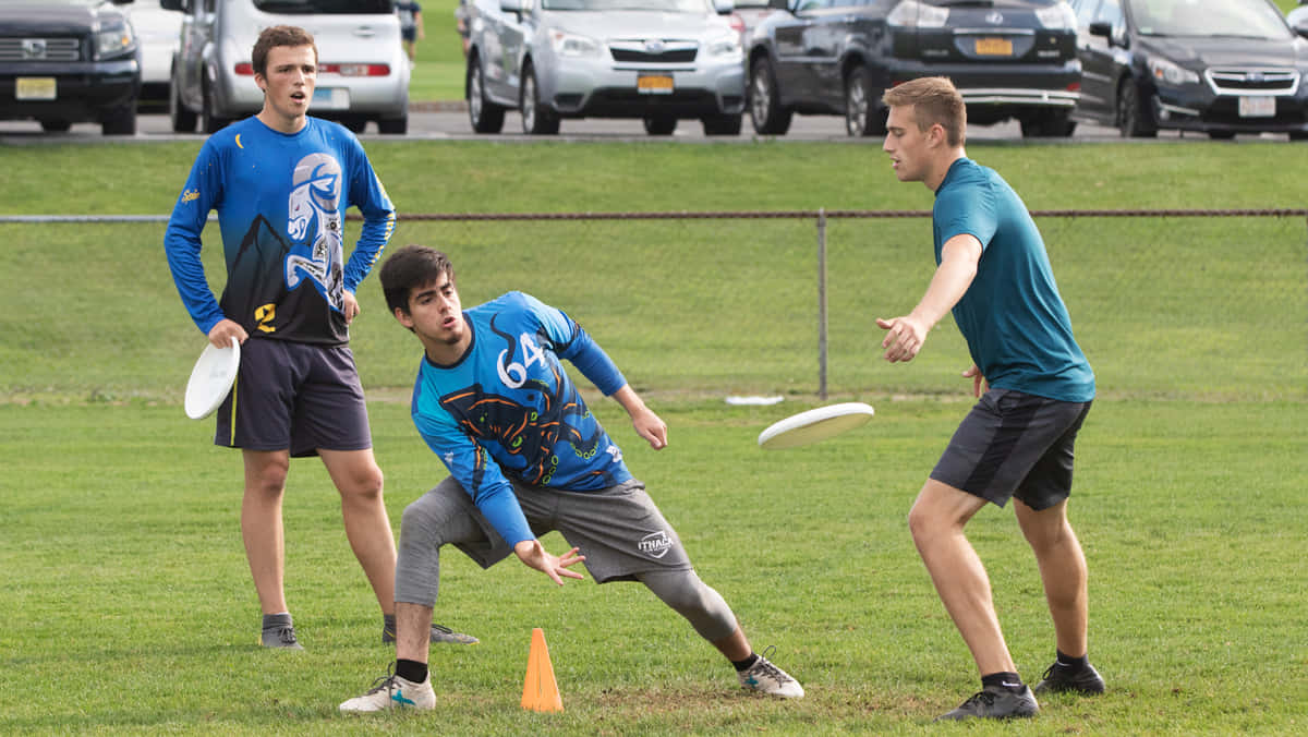 伊薩卡學院運動員最佳 Ultimate Frisbee 背景 壁紙 — 三名身穿運動服的年輕男子在草地上玩極限飛盤，背景有停泊的汽車。