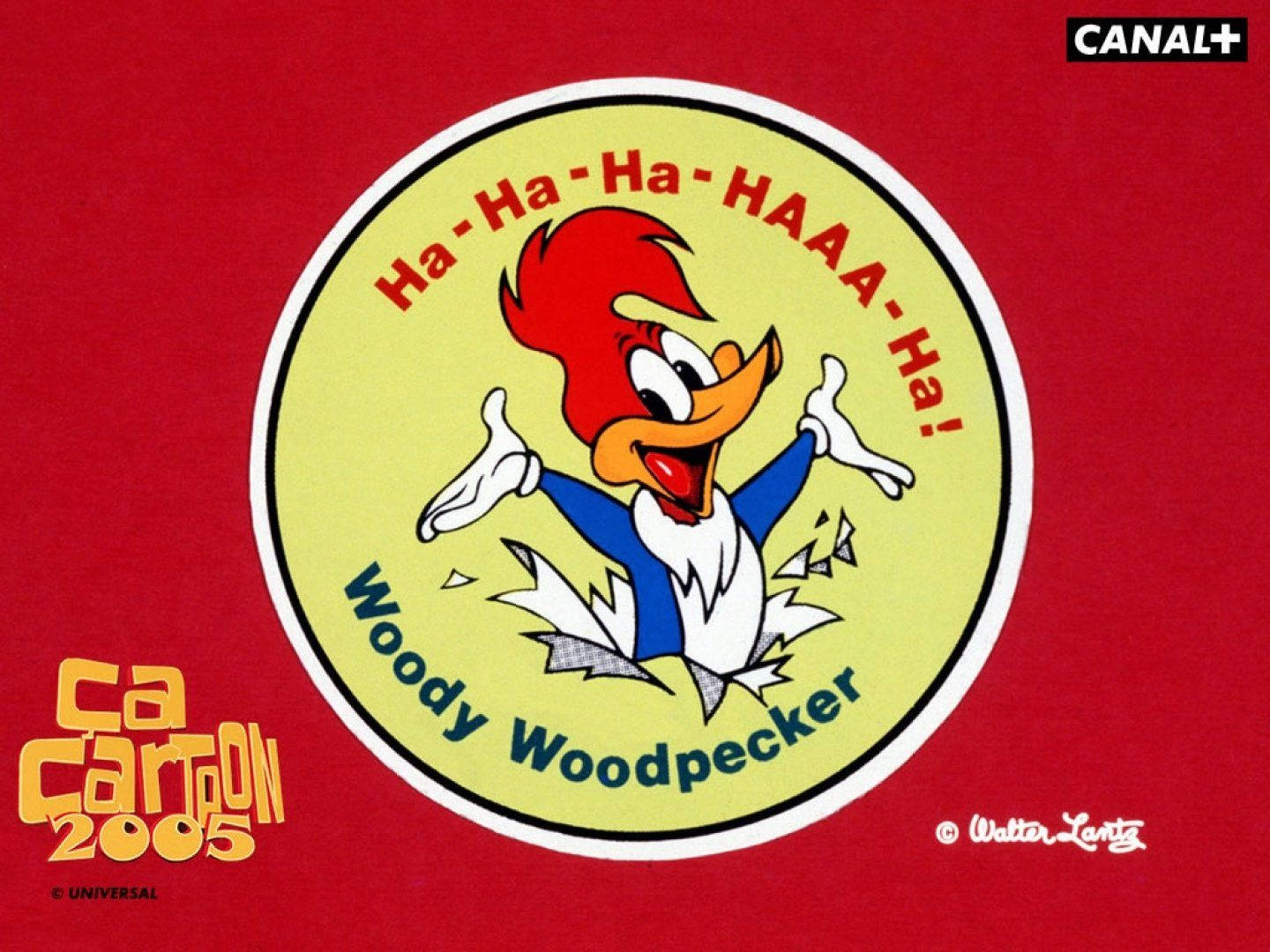 Woody Woodpecker 卡通標誌在紅色背景上大笑，帶有文字和標誌。