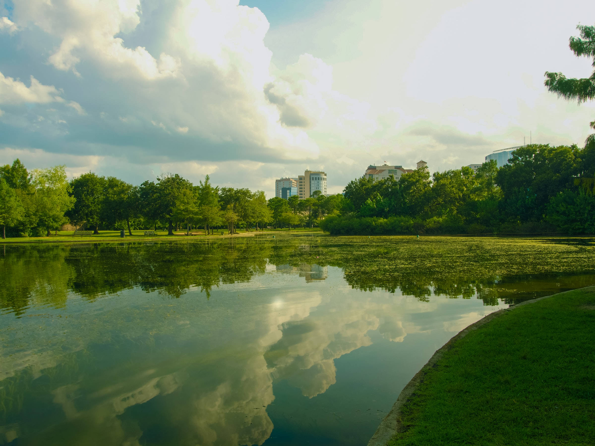 休斯頓赫曼公園湖 壁紙 — 寧靜的池塘倒映著蓬鬆的雲朵和茂密的綠樹，遠處的城市建築在明亮的天空下。
