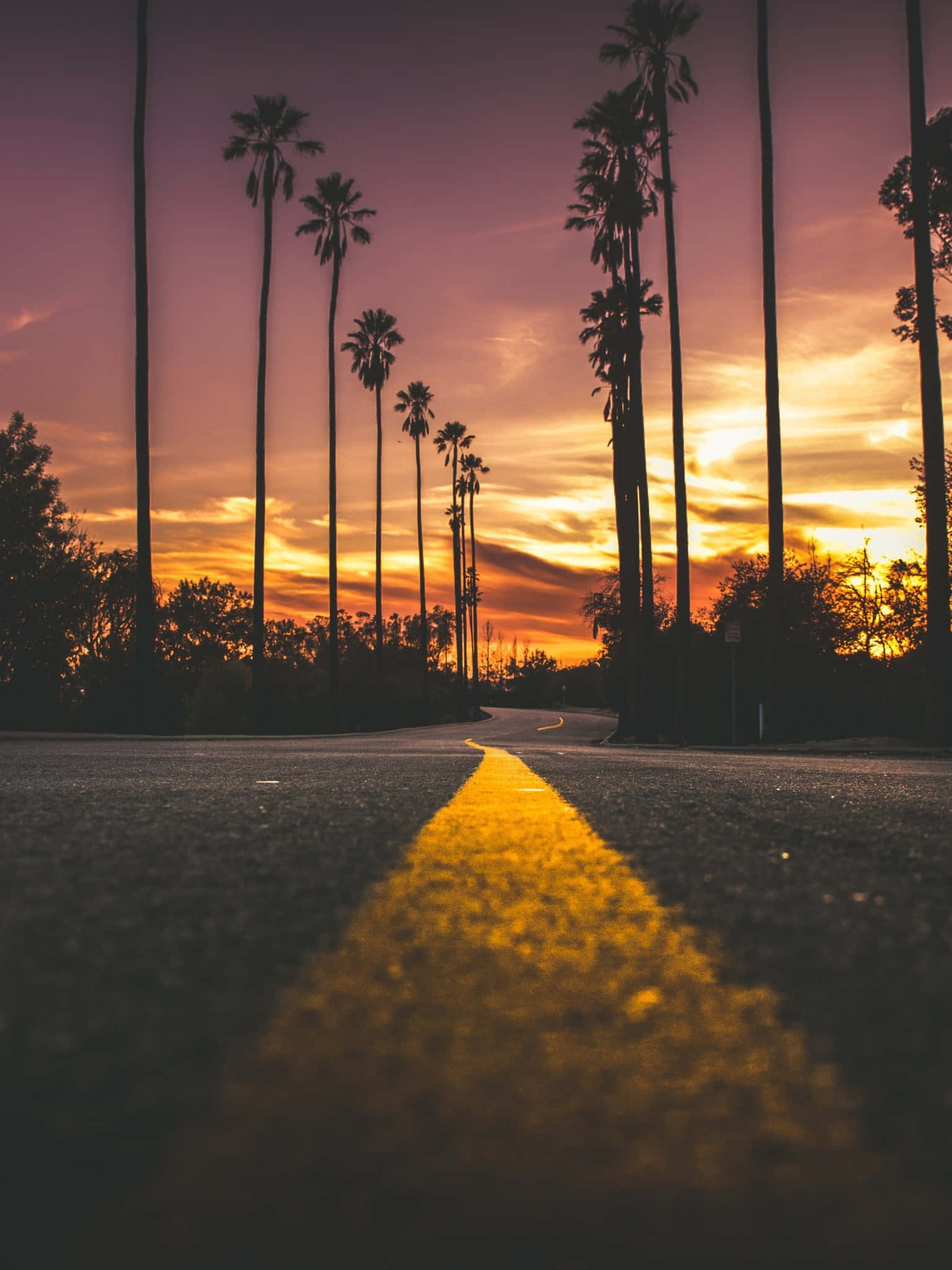 低角度拍攝的路中景與暮色天空 壁紙 — 日落時分一條蜿蜒的道路，兩旁是高聳的棕櫚樹，發光的黃色中心線延伸至地平線。