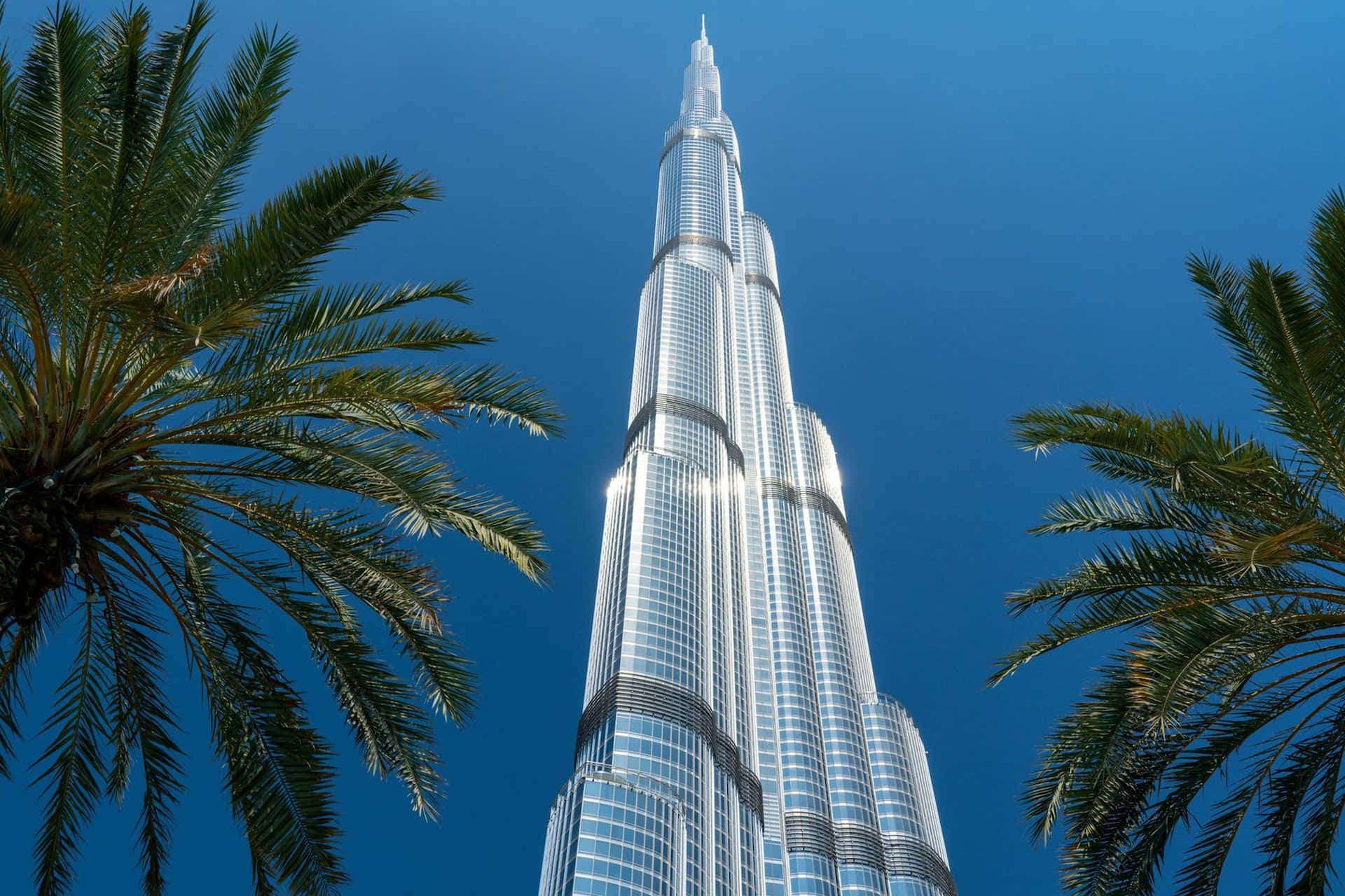 Burj Khalifa 桌布 壁紙 — 低角度觀看哈利法塔刺穿晴朗藍天，周圍環繞著茂密的綠色棕櫚葉。