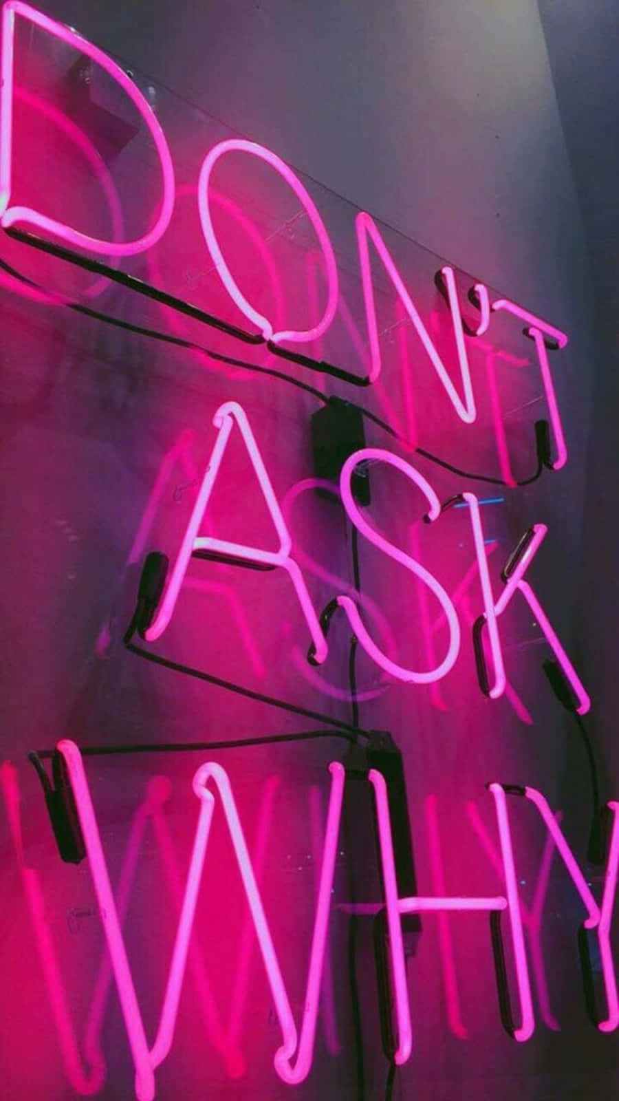 粉紅色霓虹燈牌，帶有「DON'T ASK WHY」文字，安裝在黑暗的牆壁上。
