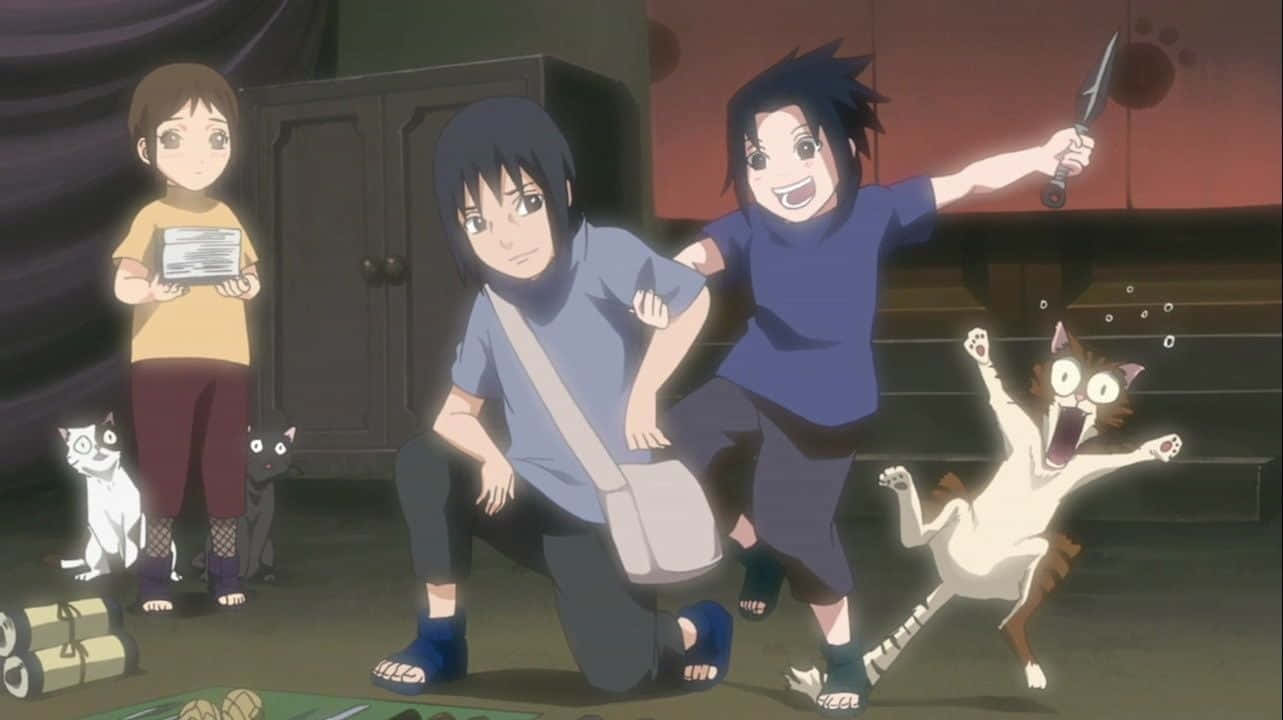 佐助與 Itachi 快樂幼年兄弟 壁紙 — 三個動畫小孩和貓咪在昏暗的房間裡嬉戲互動，其中一個小孩拿著刀，一隻貓咪驚訝地跳起。