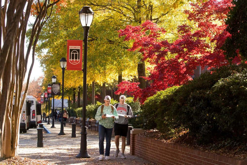 兩名學生在陽光明媚的秋日校園小徑上行走，兩旁是色彩繽紛的樹木。
