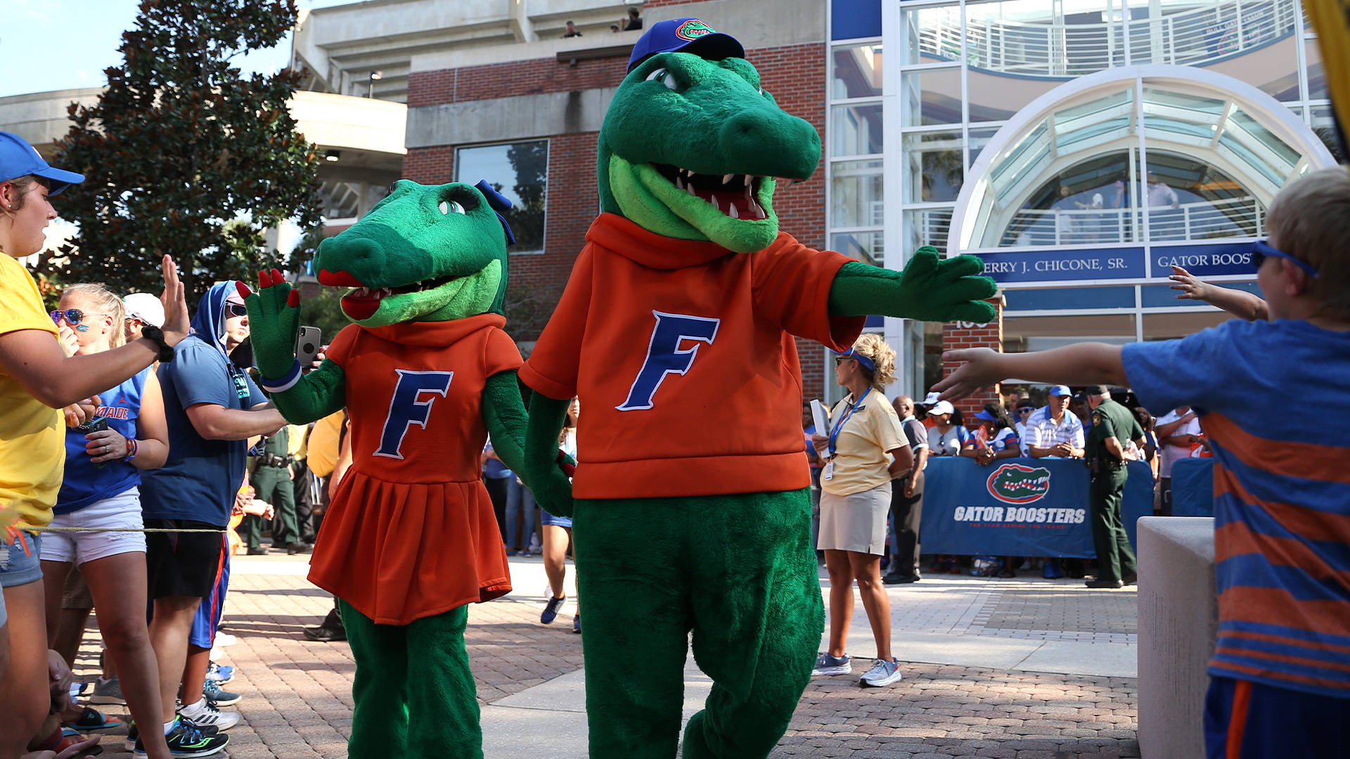 佛羅里達大學鱷魚隊吉祥物 壁紙 — 兩個綠色鱷魚吉祥物穿著橙色 'F' 連帽衫，在陽光明媚的日子裡於體育場入口外向粉絲揮手。