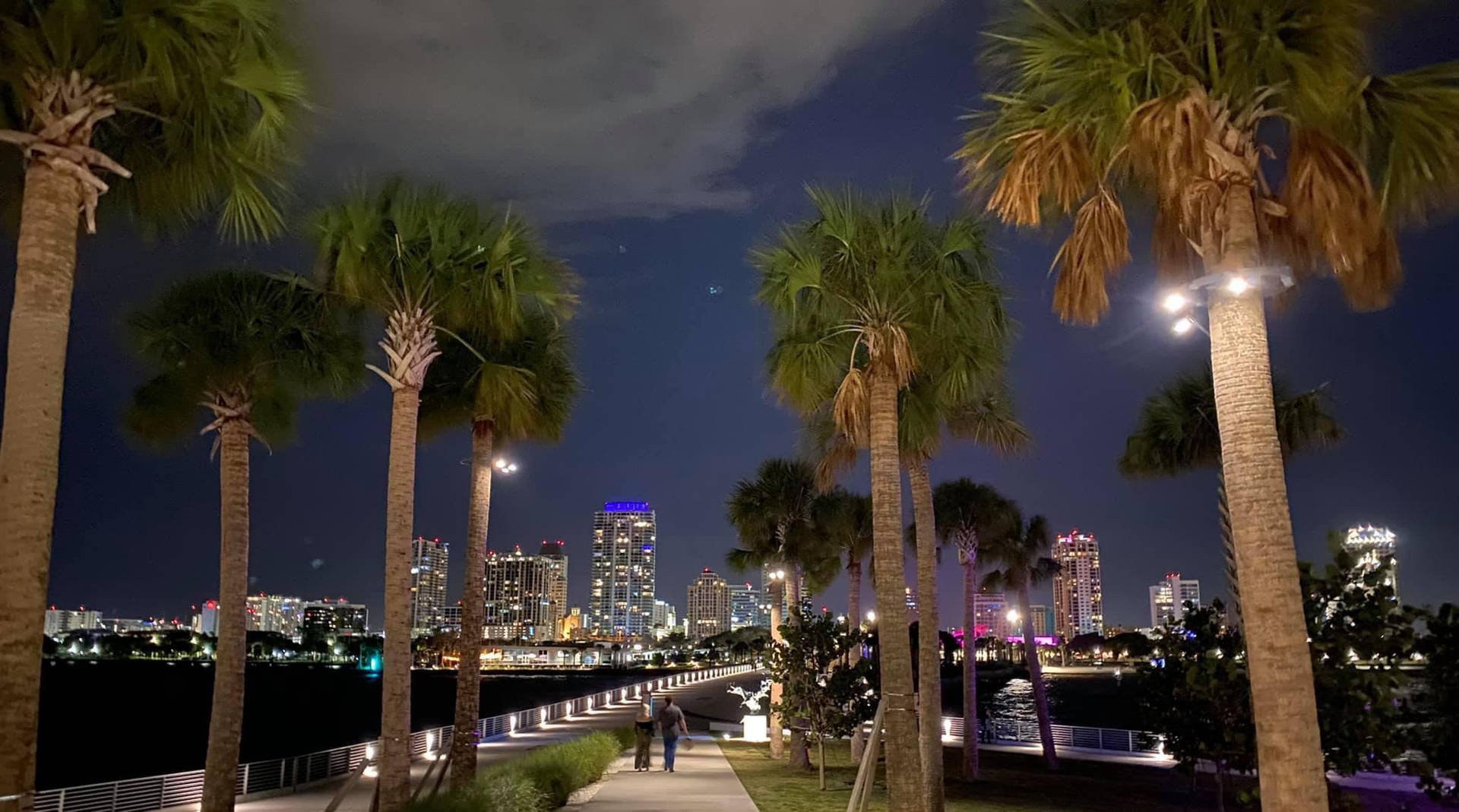 夜晚棕櫚樹排列的海濱長廊與燈火通明的城市天際線景觀。